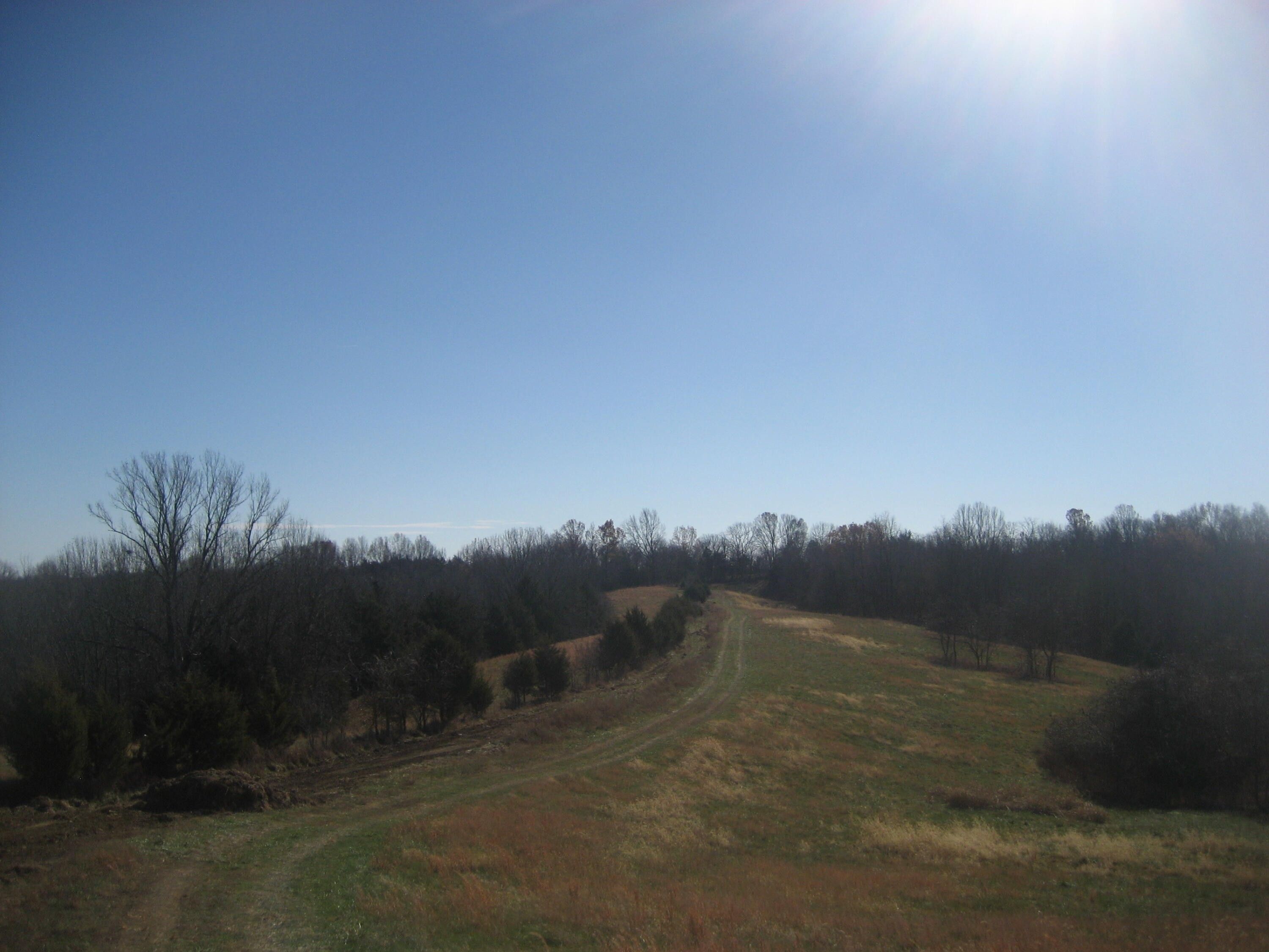 Willisburg, Washington County, KY Farms and Ranches for sale Property