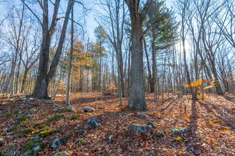 Branchville, Sussex County, NJ Undeveloped Land for sale Property ID