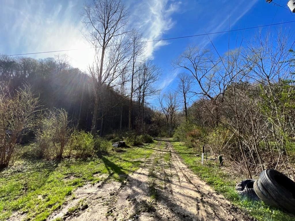 Robinson Creek, Pike County, KY Undeveloped Land for sale Property ID
