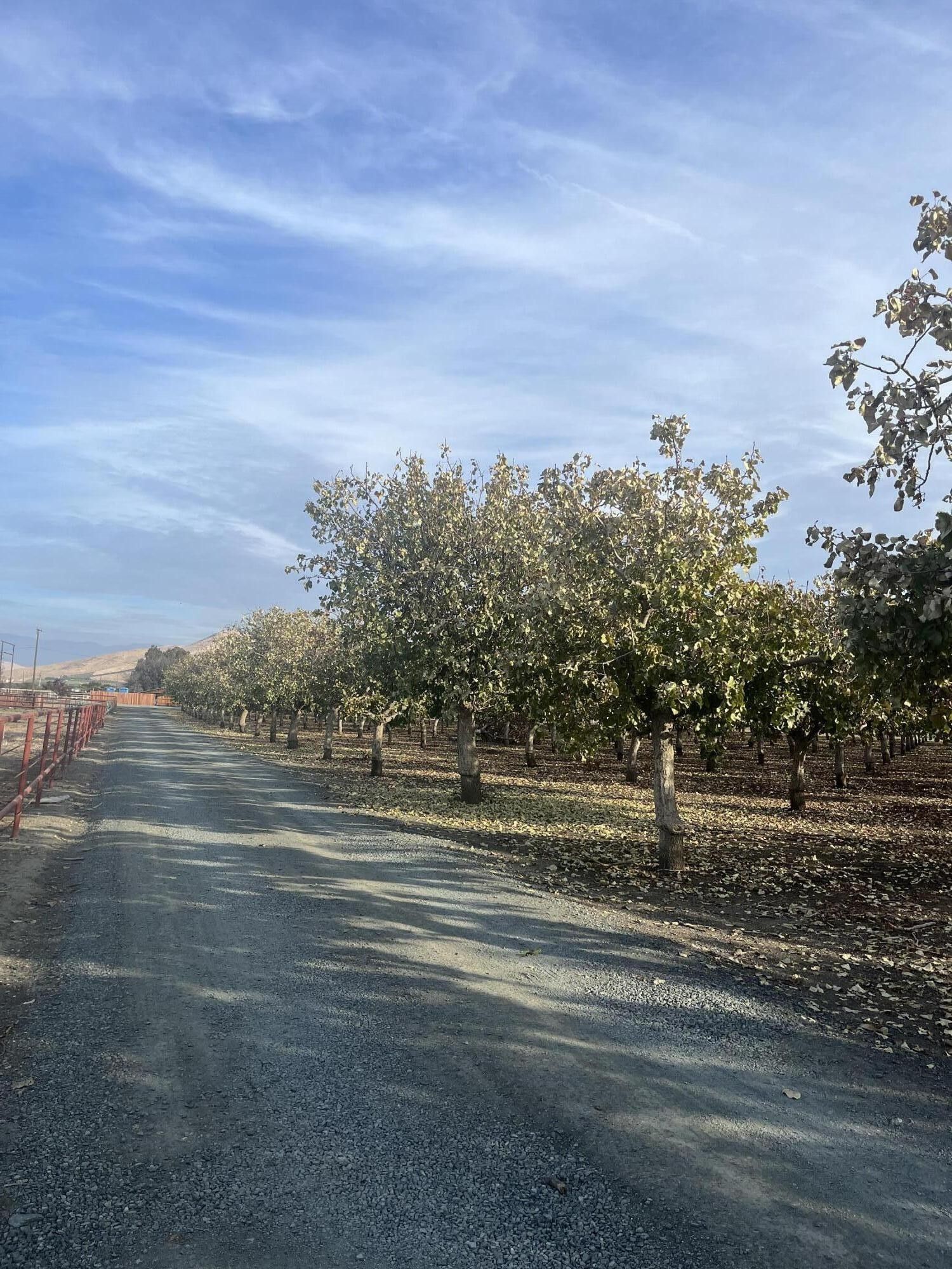 Porterville, Tulare County, CA Farms and Ranches, Homesites for sale