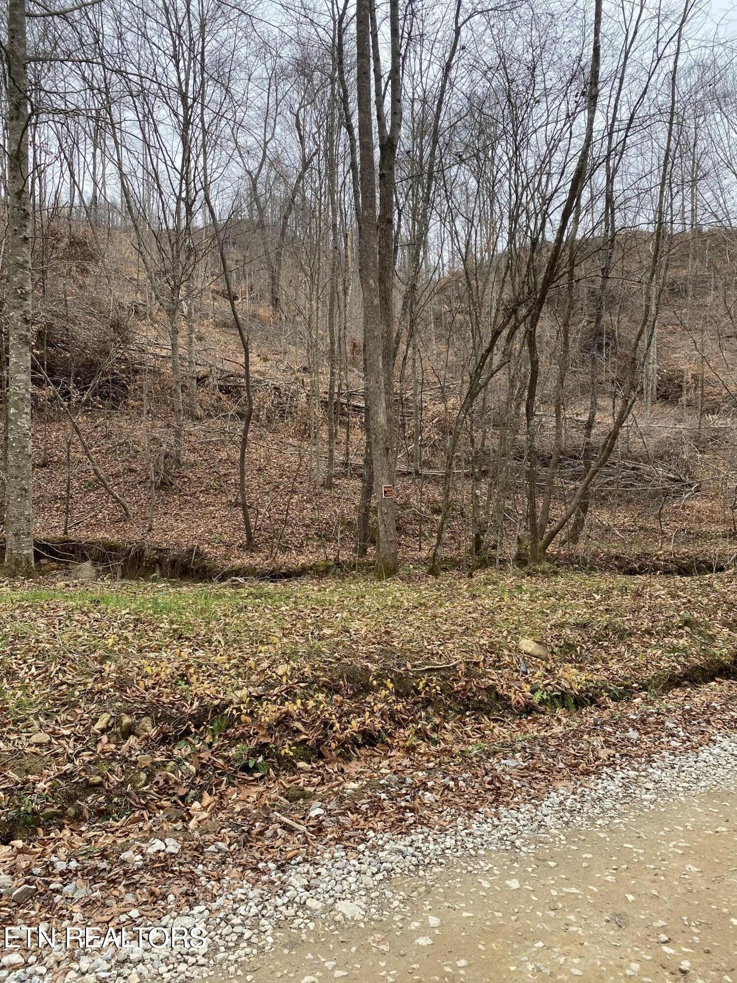 Oneida, Scott County, TN Undeveloped Land for sale Property ID