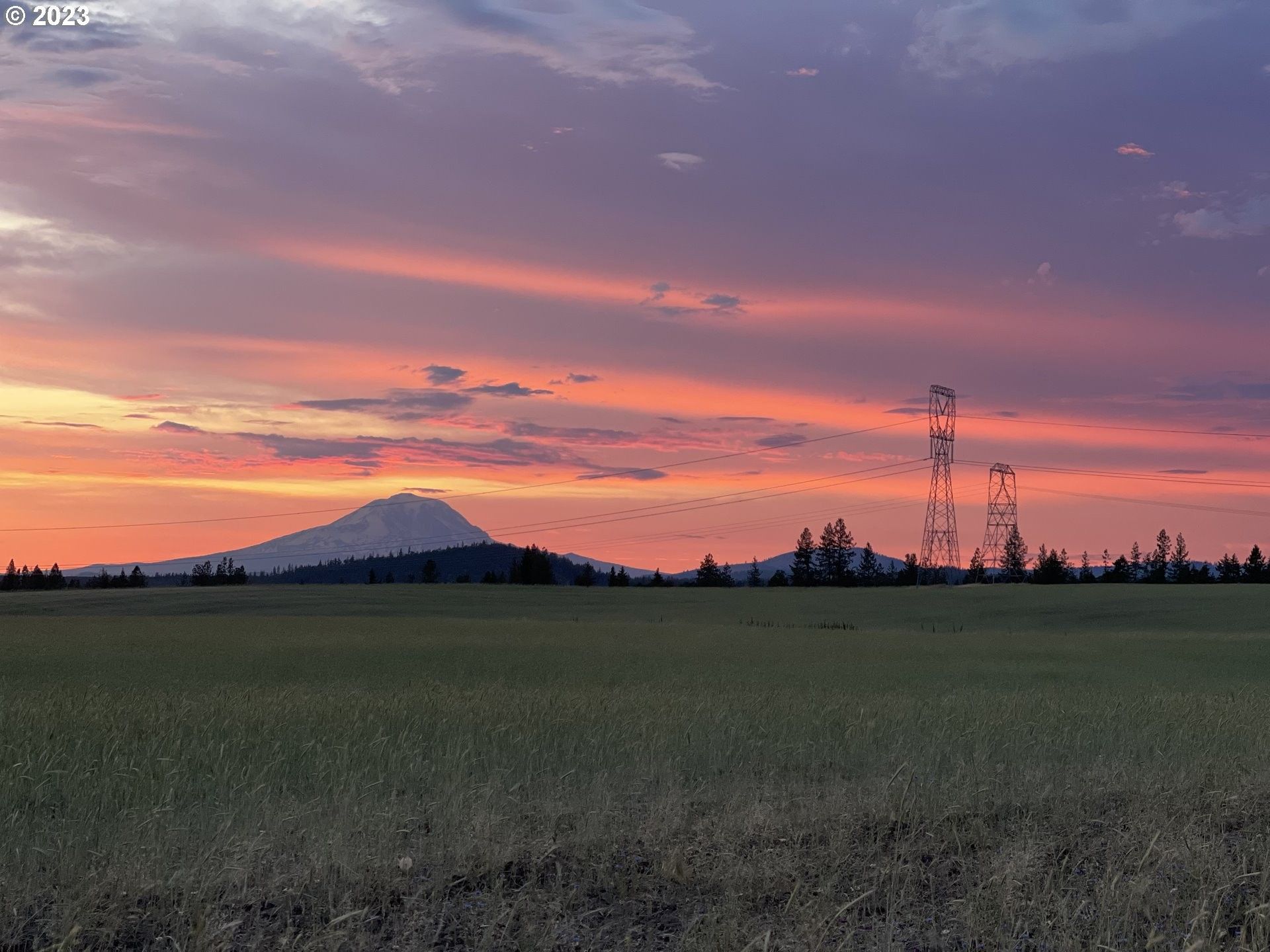 Goldendale, Klickitat County, WA Undeveloped Land for sale Property ID