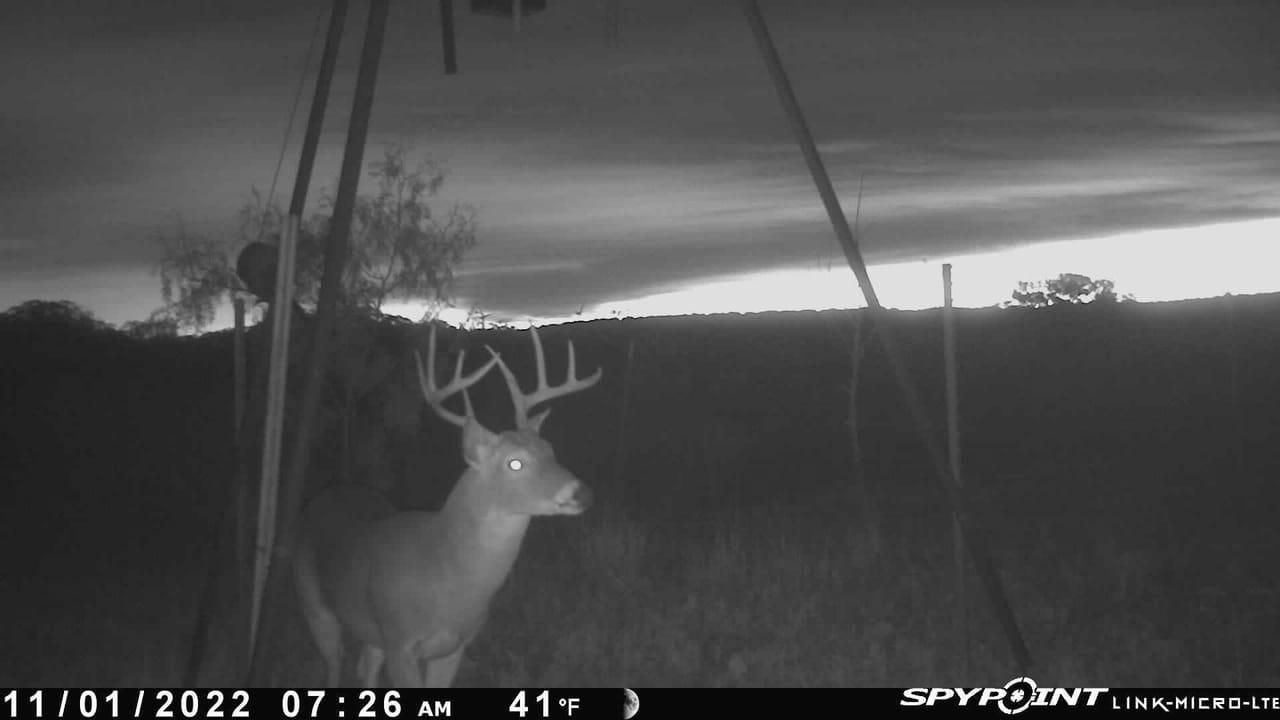 3402 CR 196, Blackwell, TX 79506 MLS 20257986 LandWatch