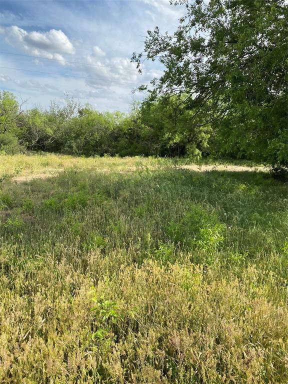 Ovalo, Taylor County, TX Undeveloped Land for sale Property ID