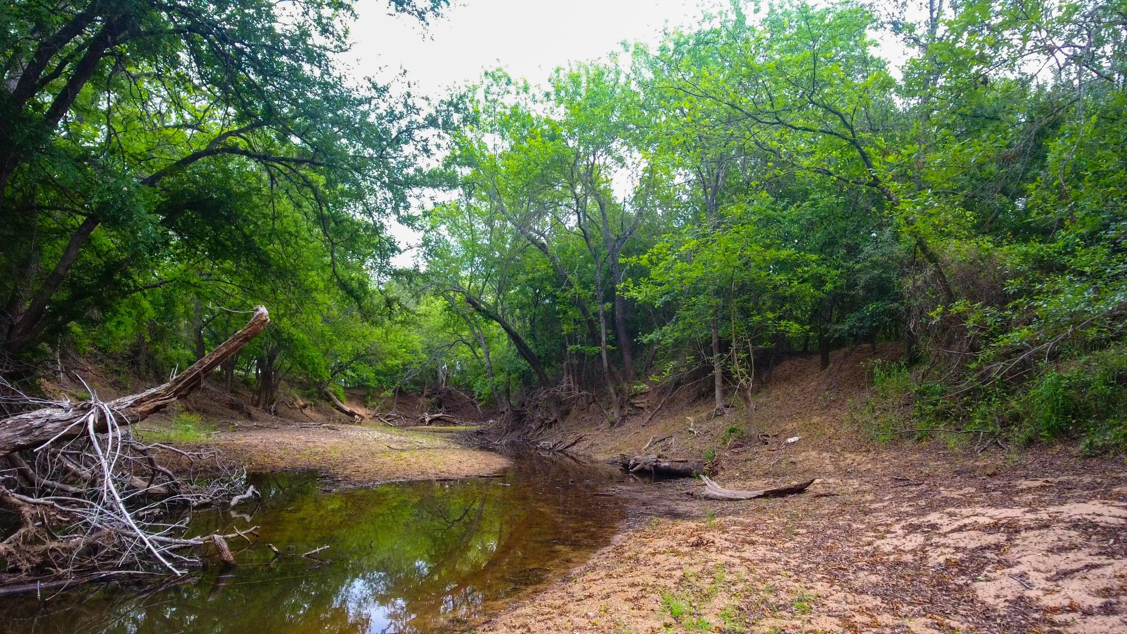 De Leon, Eastland County, TX Recreational Property, Undeveloped Land, Hunting Property