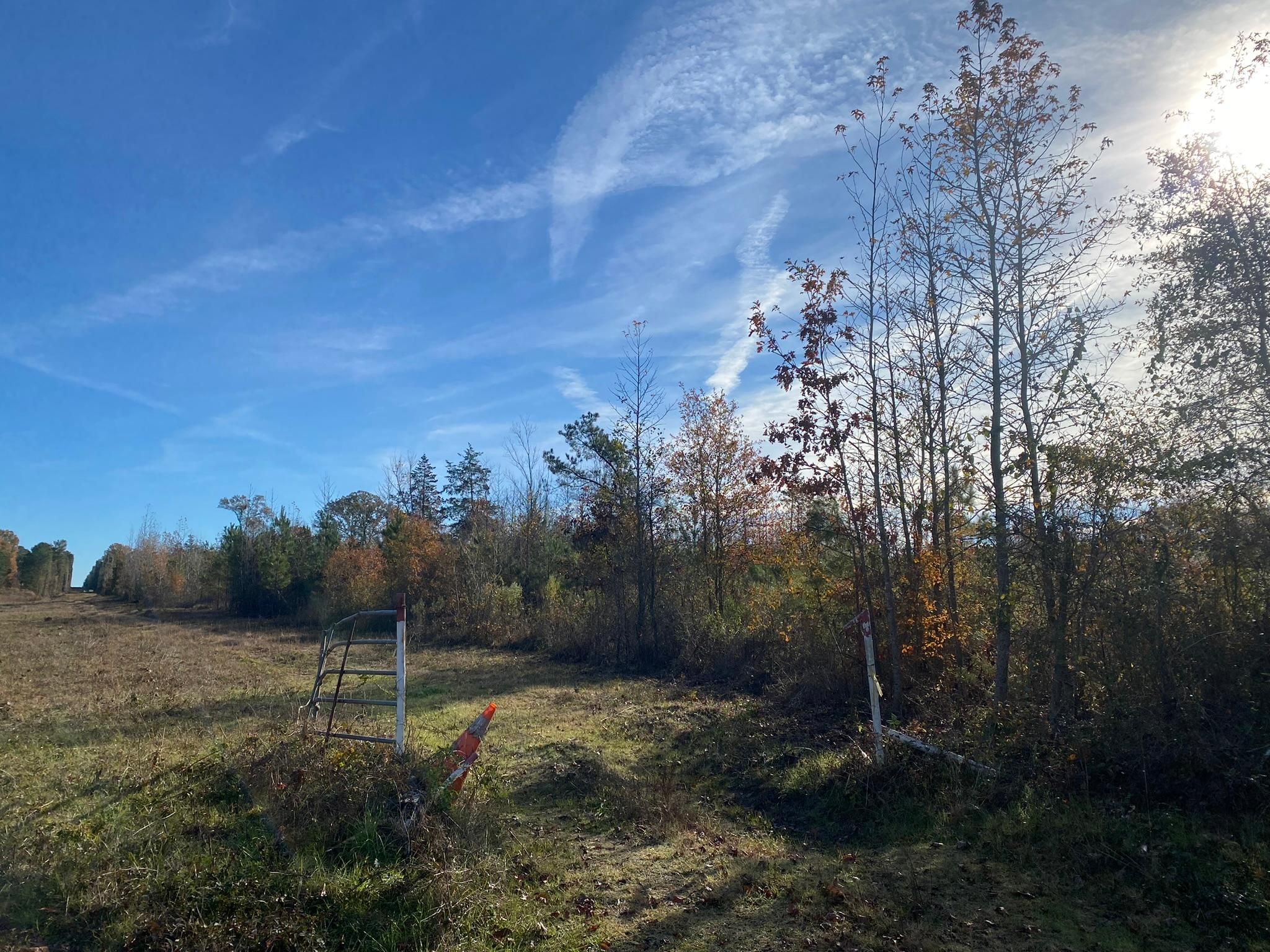 Karnack, Harrison County, TX Timberland Property, Undeveloped Land