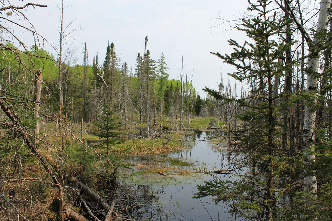 Mercer, Iron County, WI Undeveloped Land for sale Property ID