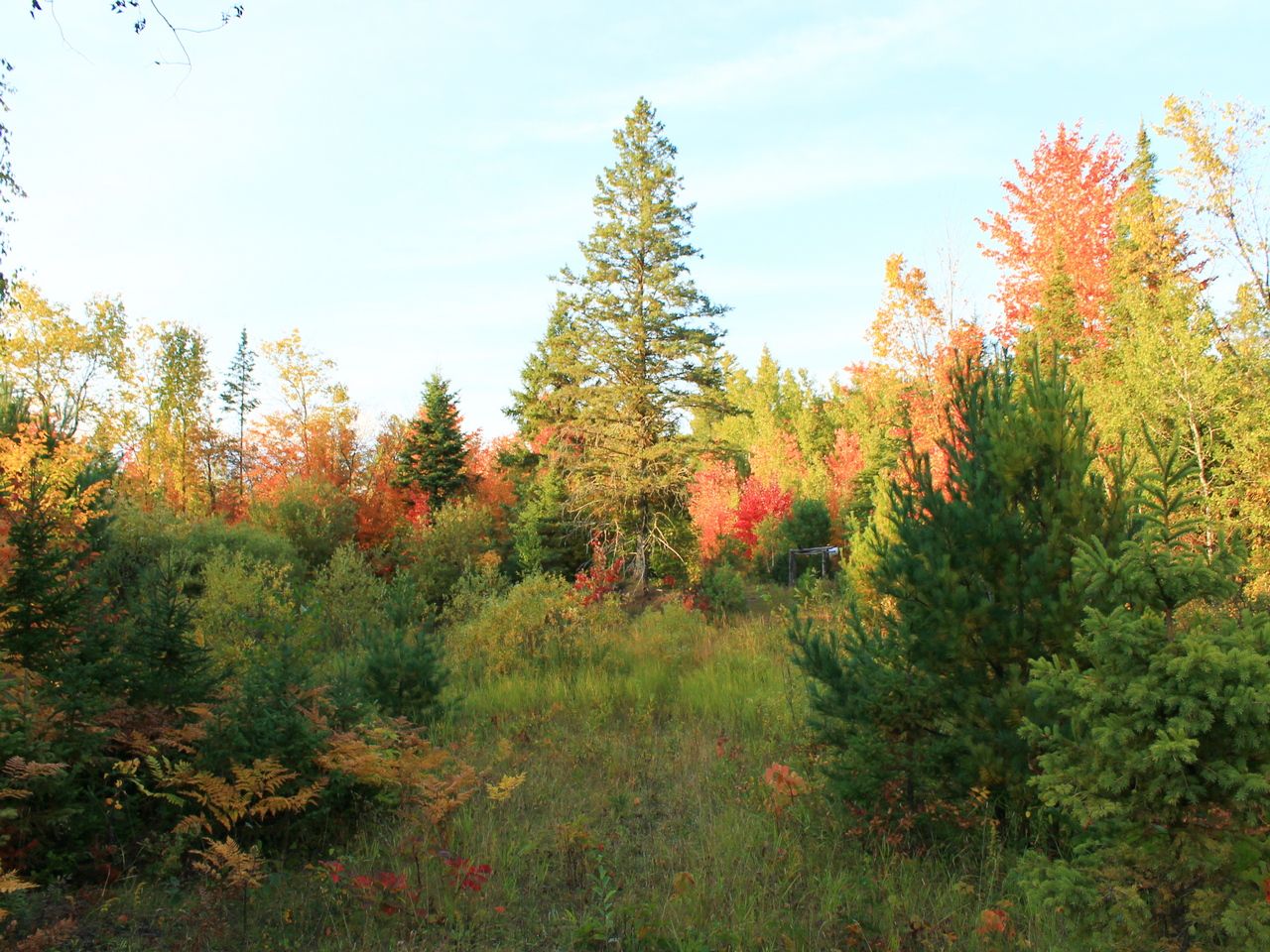 Oma, Iron County, WI Undeveloped Land for sale Property ID 417800481