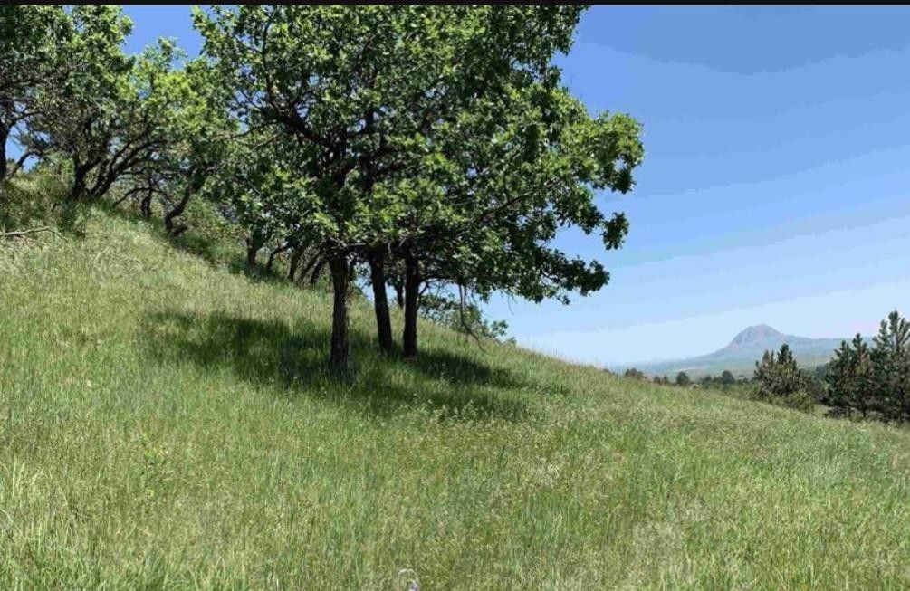 Whitewood, Lawrence County, SD Homesites for sale Property ID