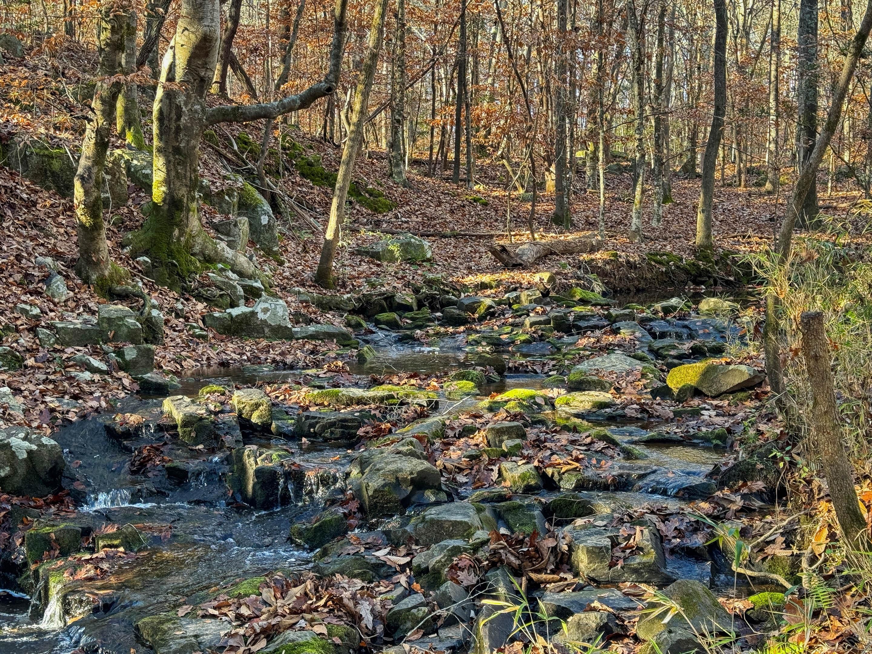 Catawba, Chester County, SC Recreational Property, Timberland Property, Hunting Property for