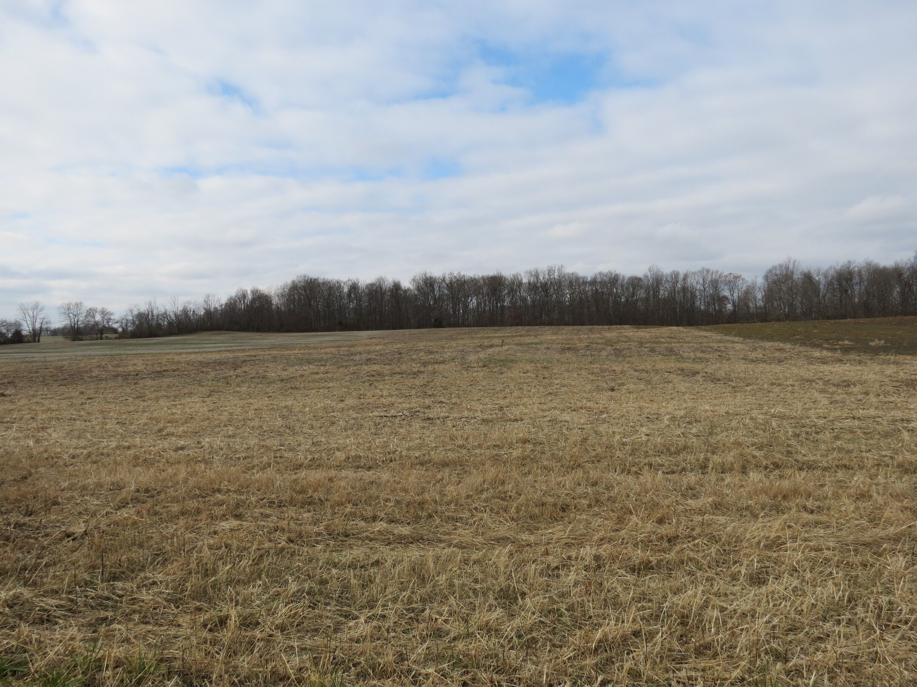 County, IN Undeveloped Land for sale Property ID 418442738 LandWatch