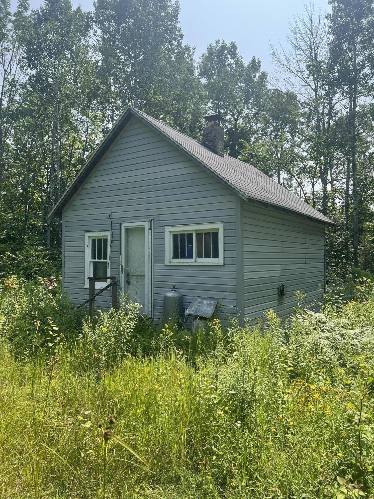 Sugar Island, Chippewa County, MI Undeveloped Land for sale Property ID