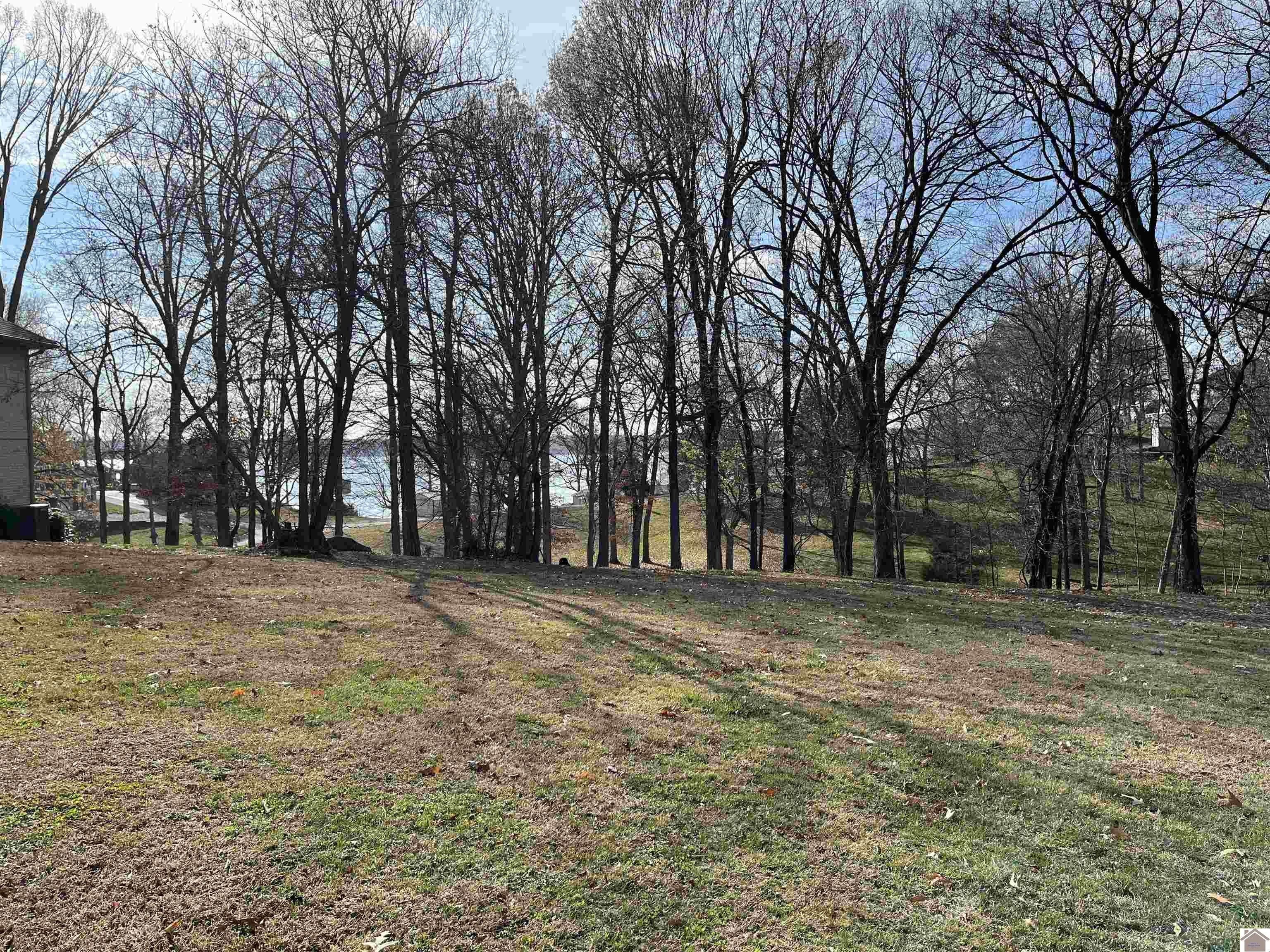 Eddyville, Lyon County, KY Undeveloped Land, Homesites for sale