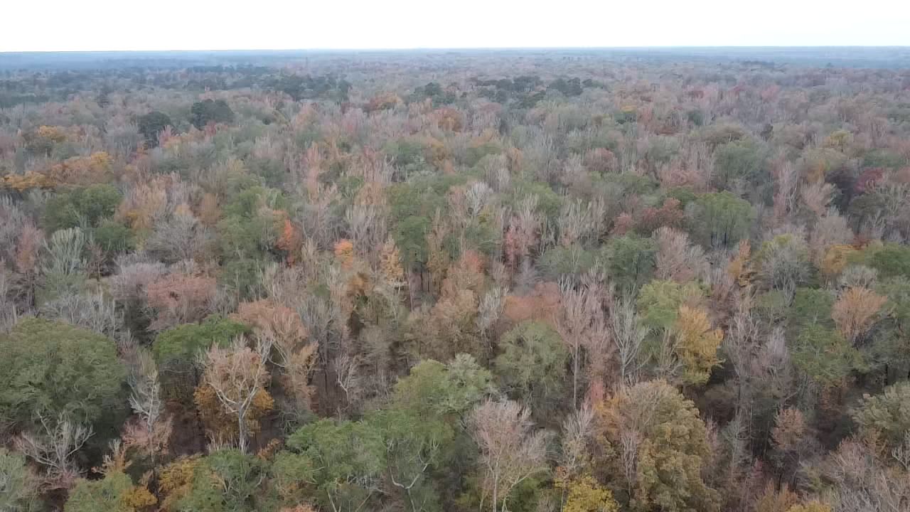 Harrell, Bradley County, AR Recreational Property, Timberland Property