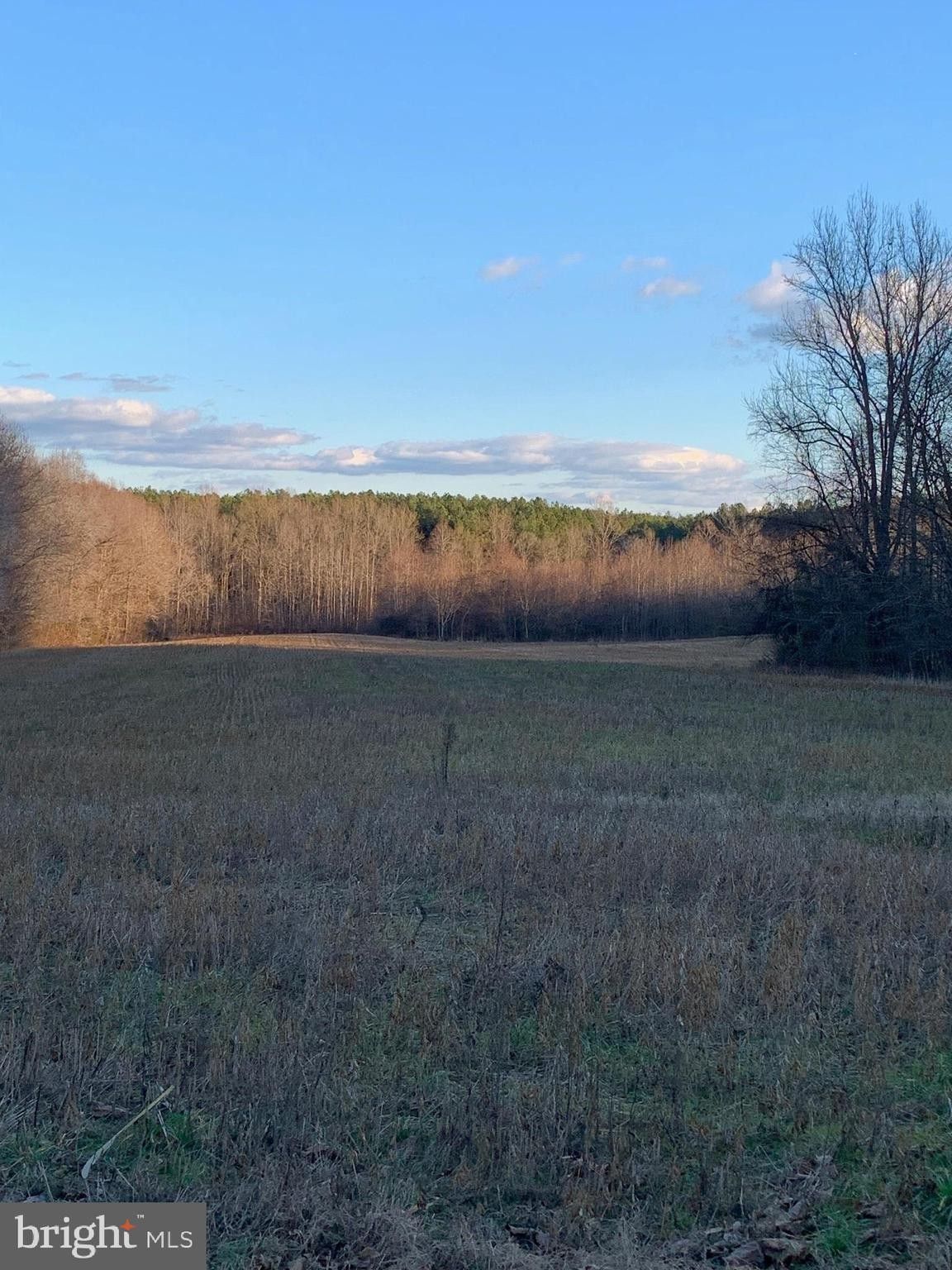 Bumpass, Louisa County, VA Undeveloped Land, Lakefront Property