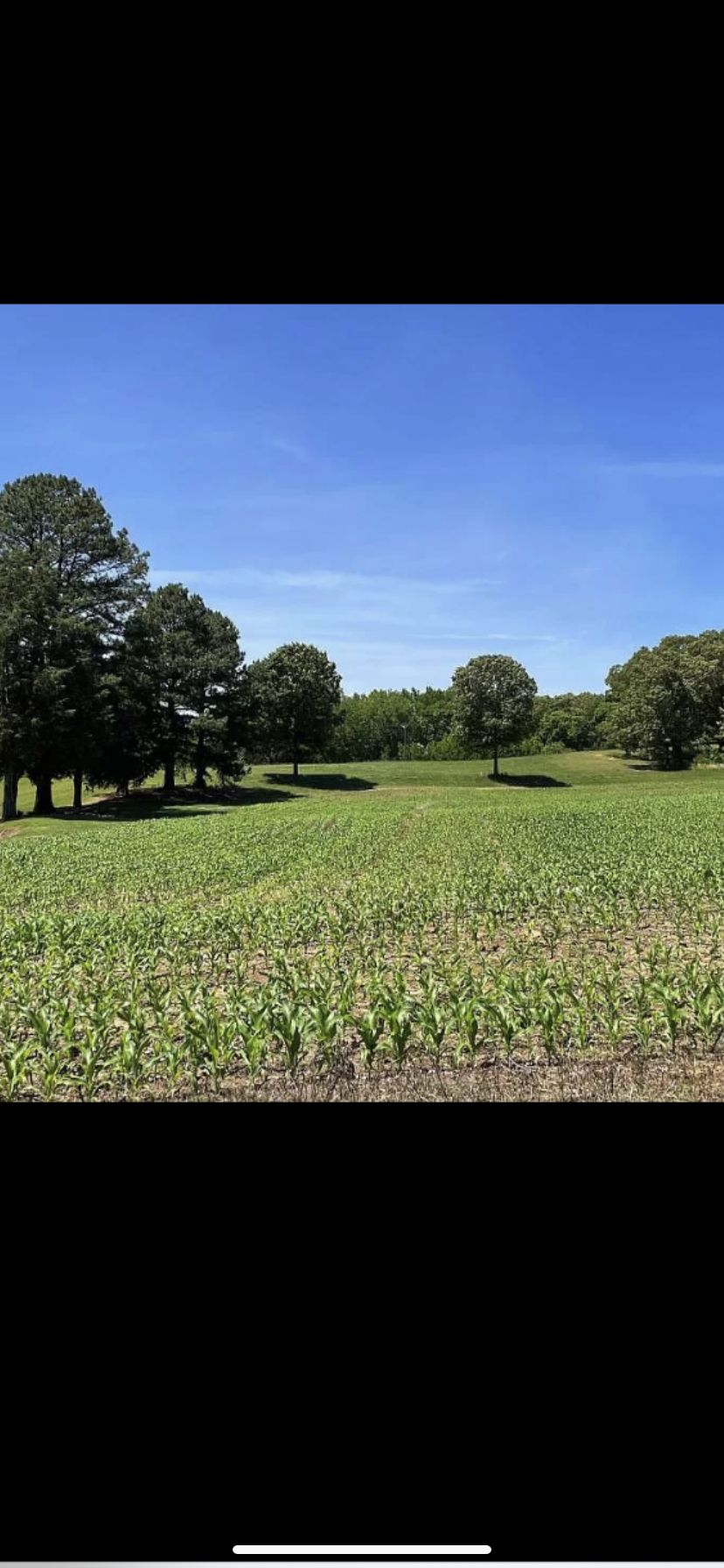 Jacks Creek, Chester County, TN Farms and Ranches, Undeveloped Land