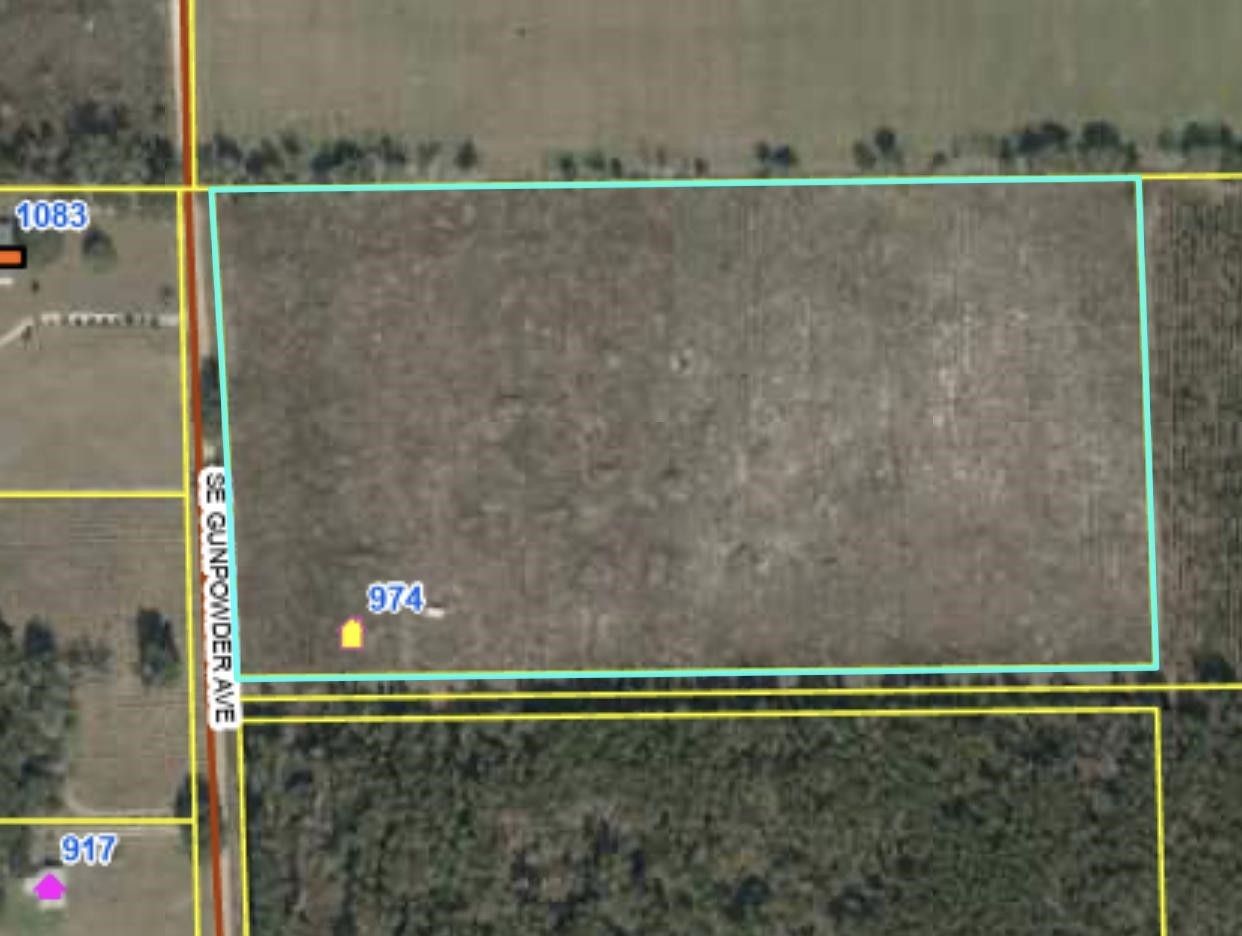 Madison, Madison County, FL Undeveloped Land for sale Property ID