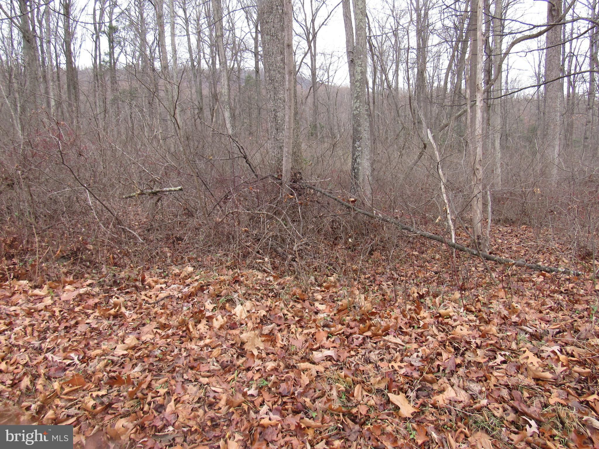 Fairfield, Adams County, PA Undeveloped Land, Homesites for sale