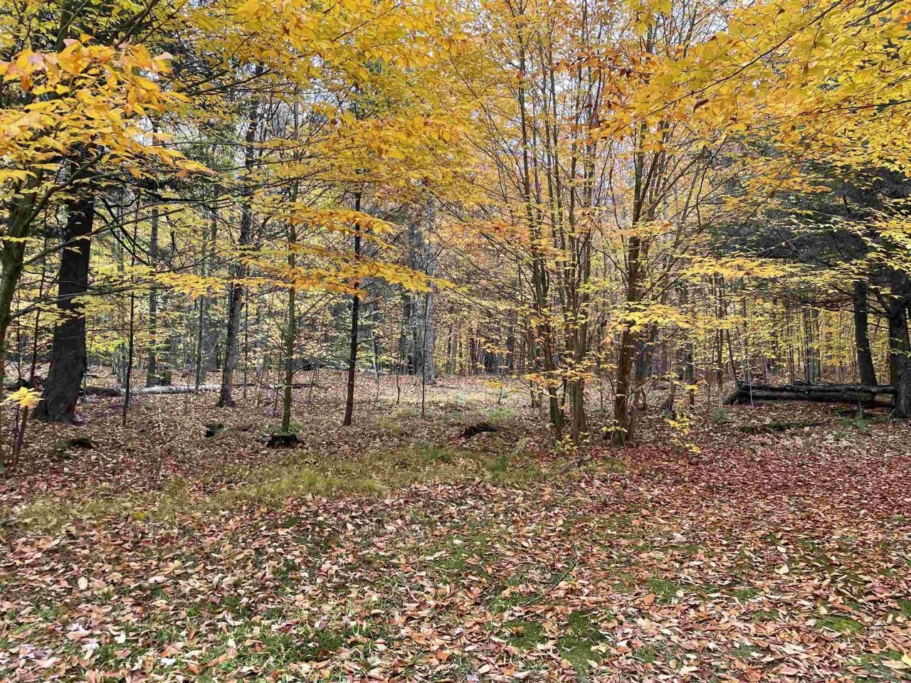 Athelstane, County, WI Undeveloped Land for sale Property ID