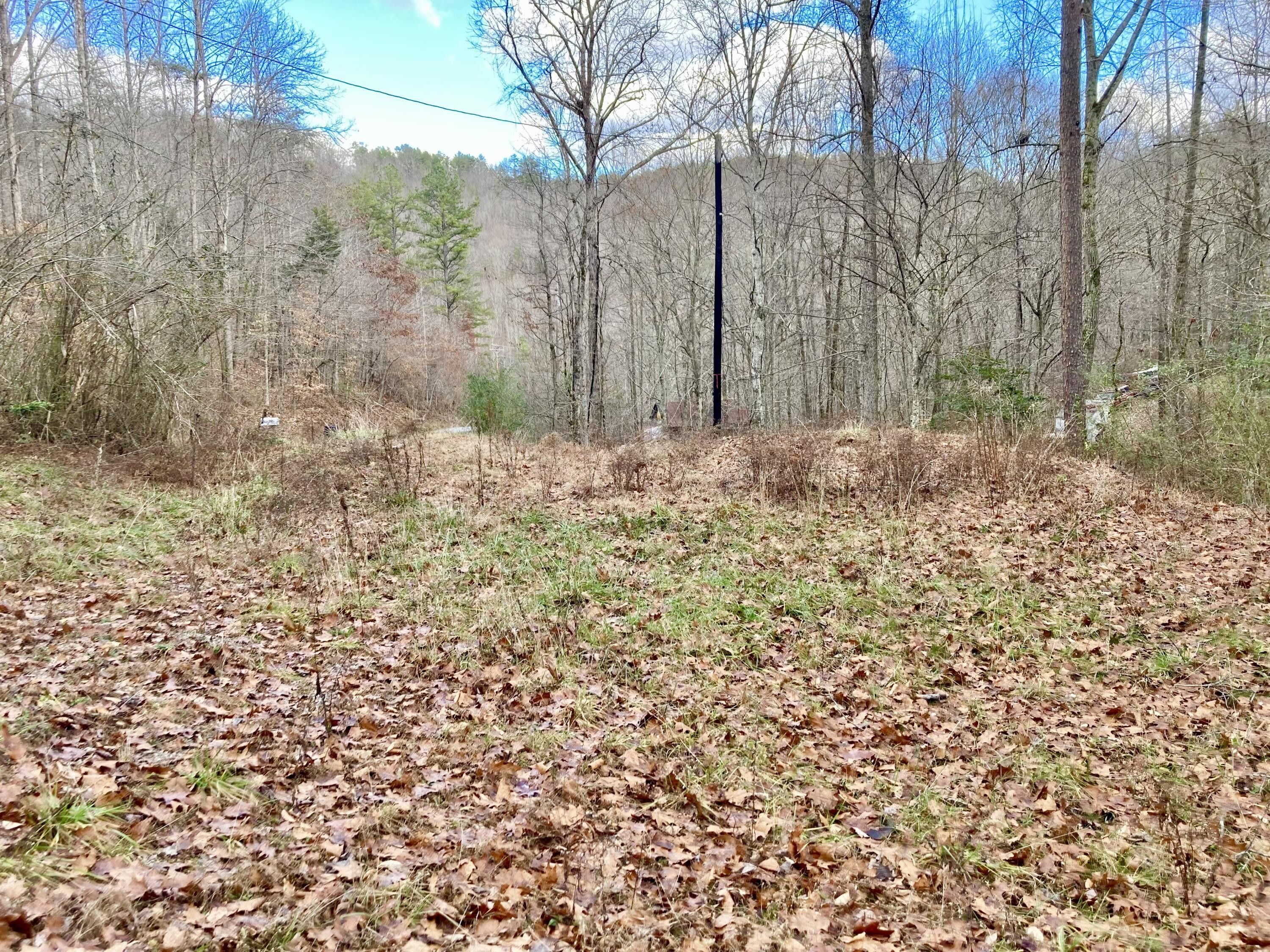 Stearns, McCreary County, KY Undeveloped Land, Homesites for sale