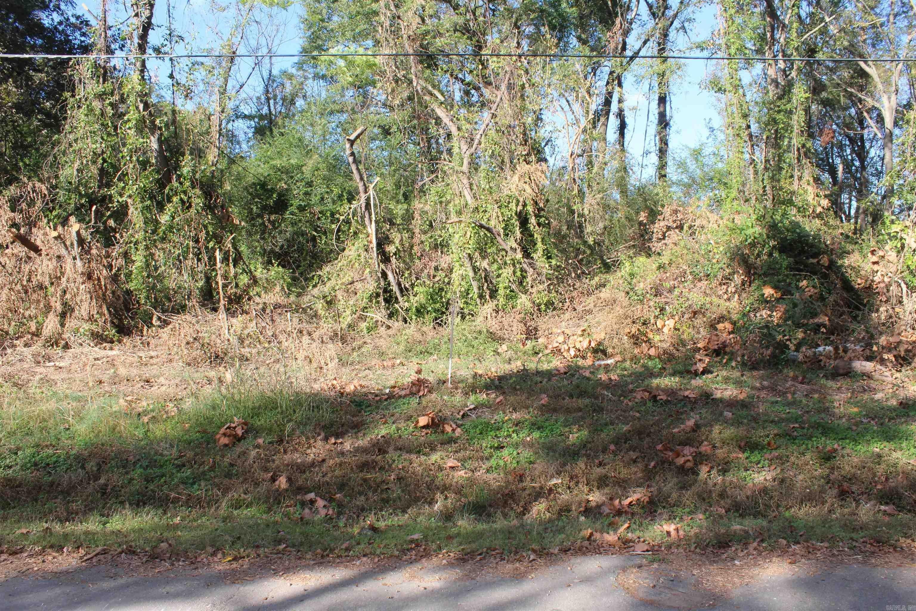 Hamburg, Ashley County, AR Undeveloped Land, Homesites for sale