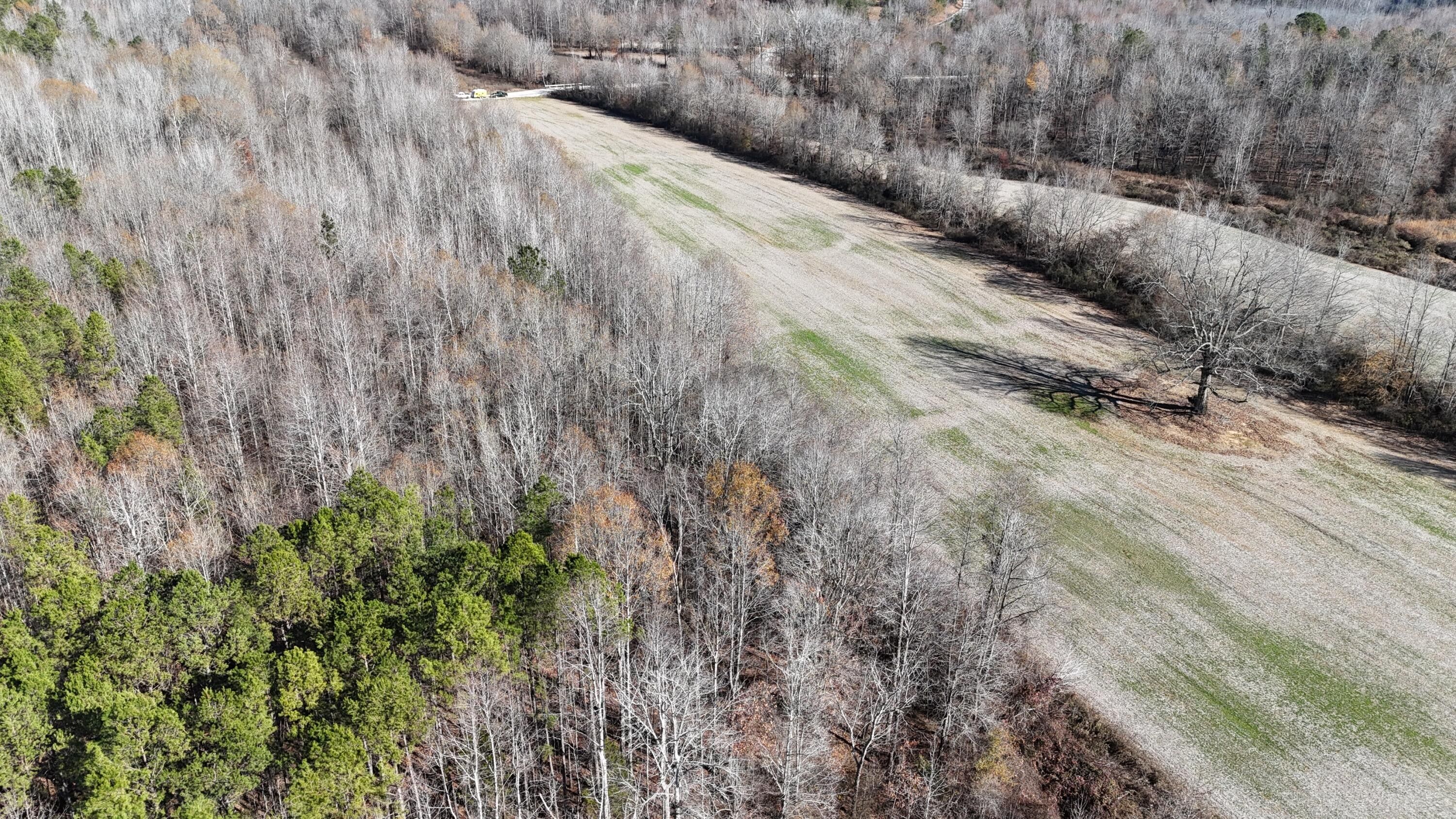 Dumas, Union County, MS Timberland Property, Hunting Property for sale