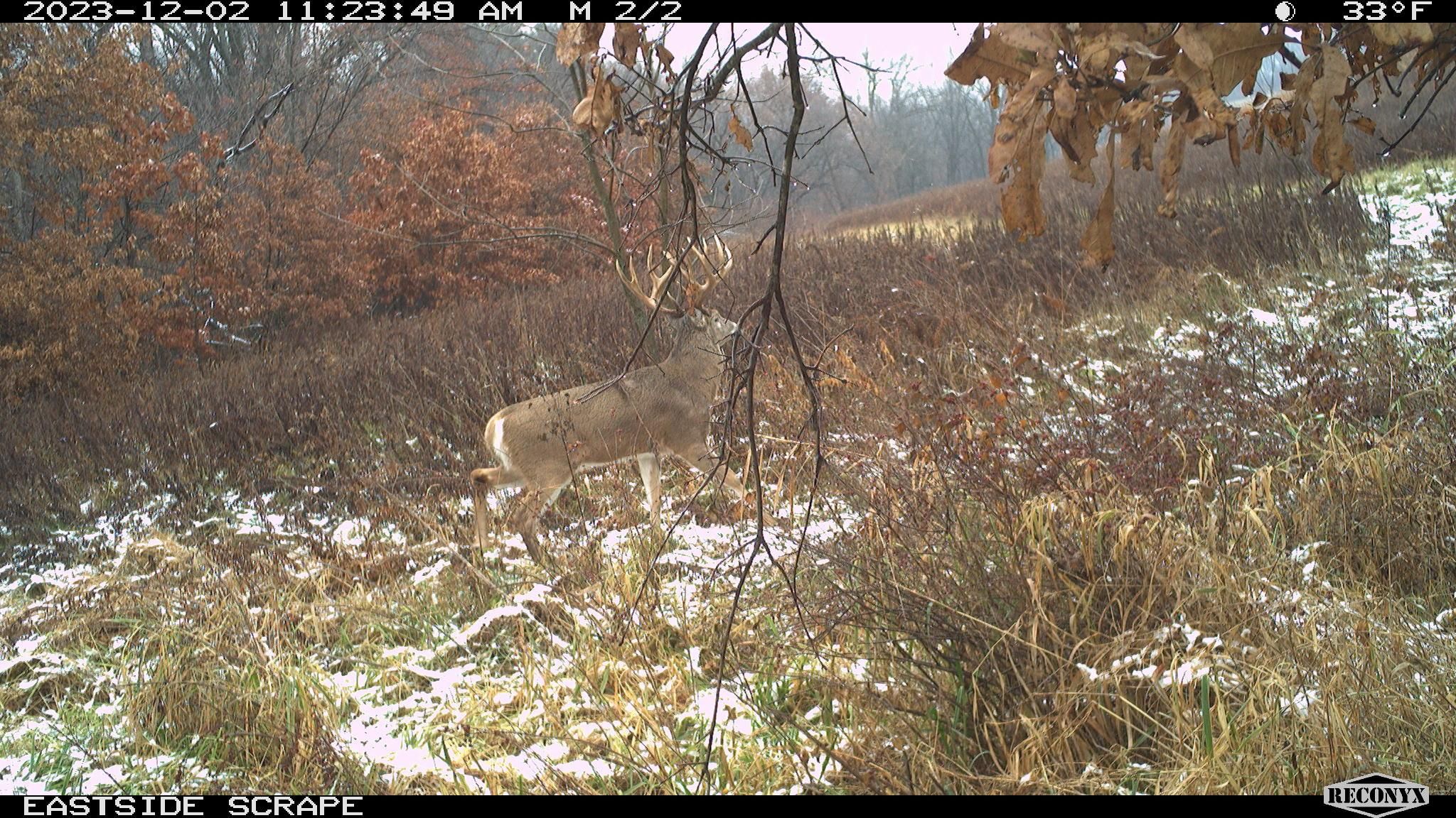 2432 Wintergreen Blvd, Fairfield, IA 52556 MLS 6312910 LandWatch