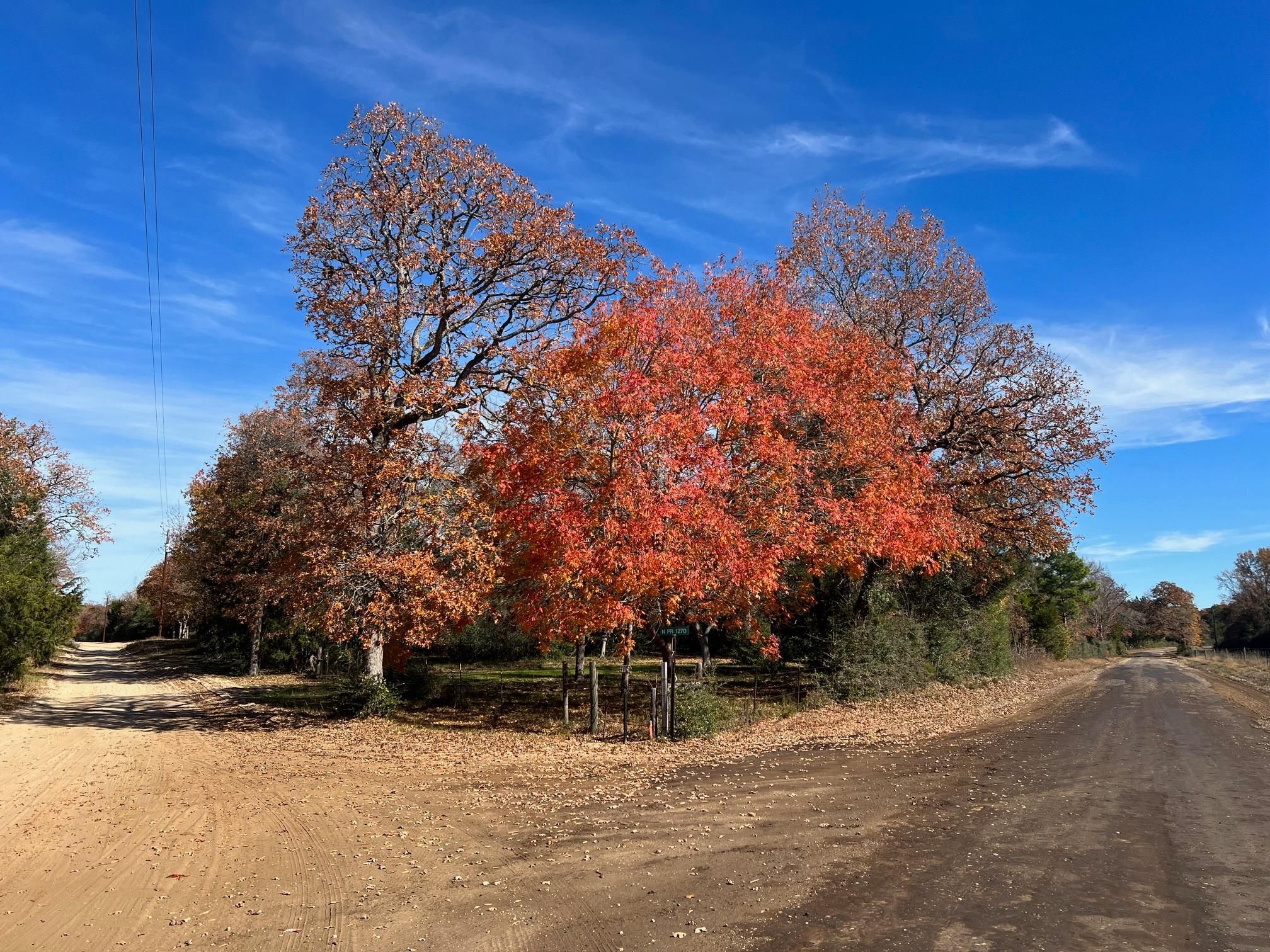 Centerville, Leon County, TX Recreational Property, House for sale