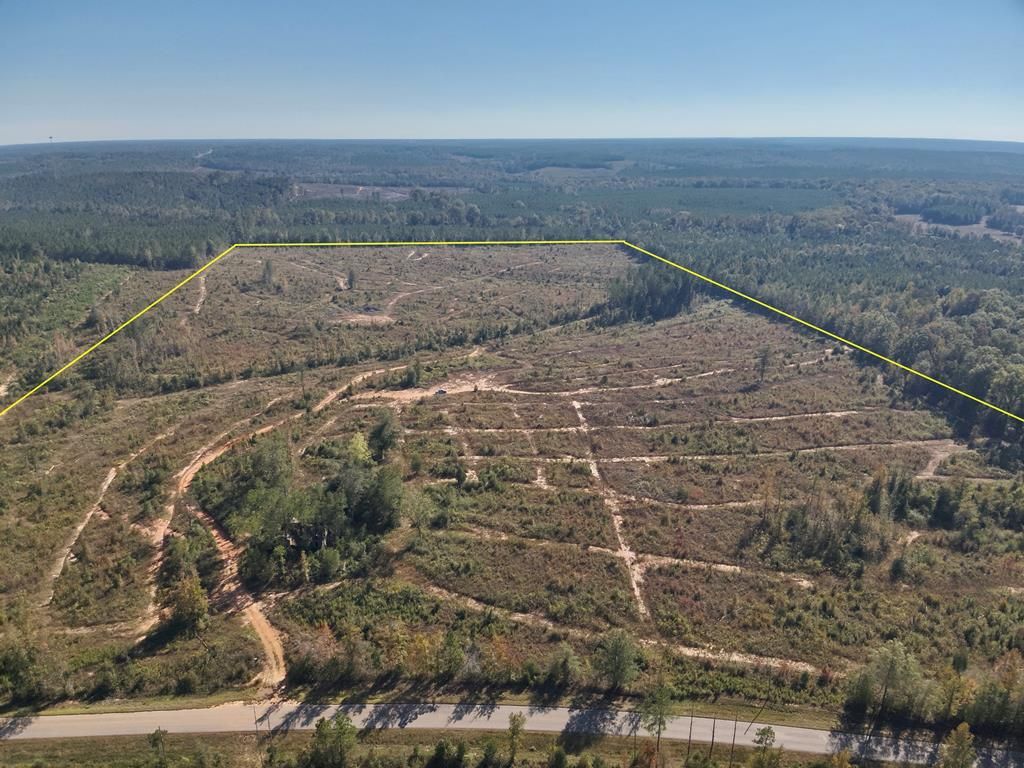 Abbeville, Henry County, AL Recreational Property, Hunting Property for