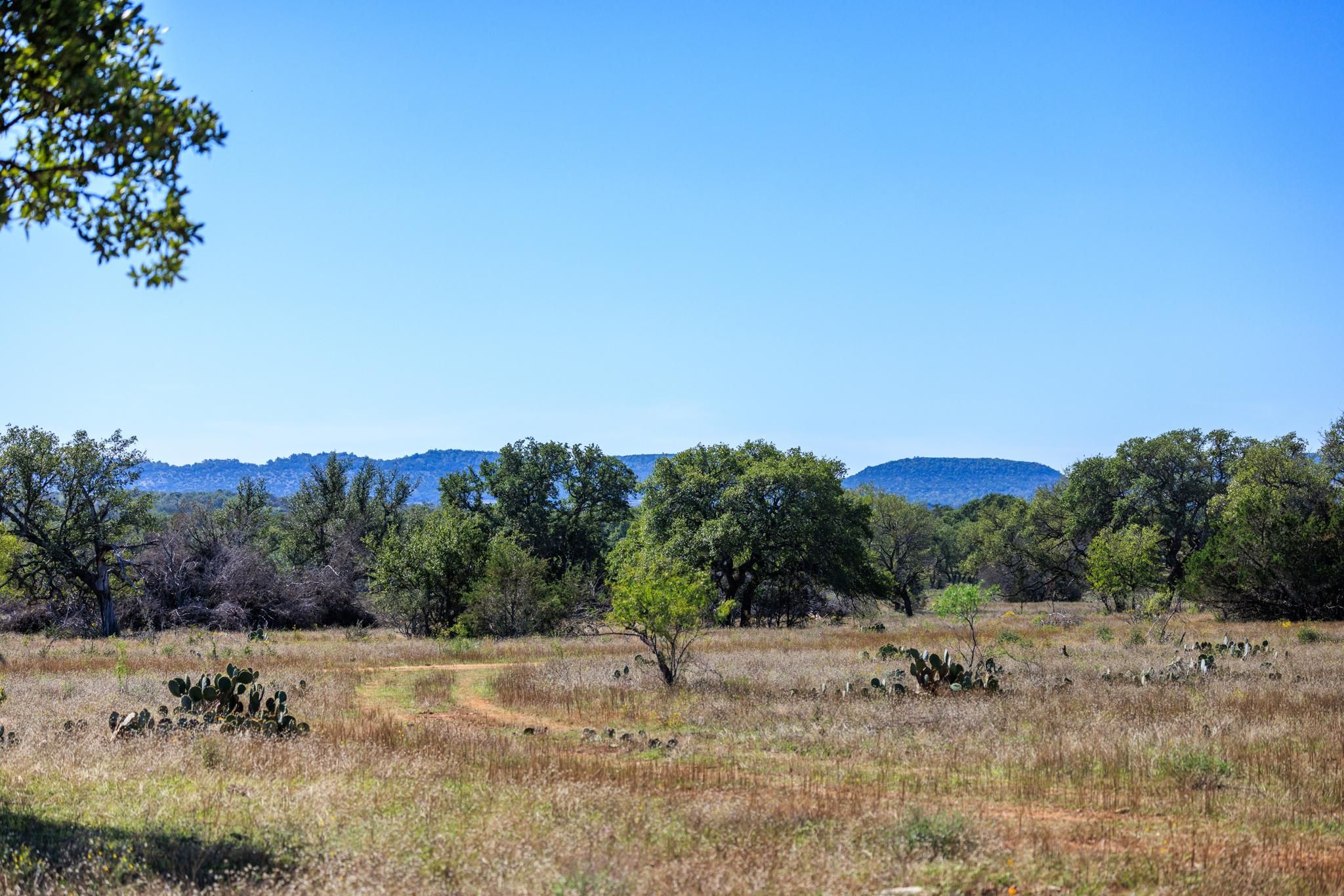 Johnson City, Blanco County, TX Recreational Property, Undeveloped Land