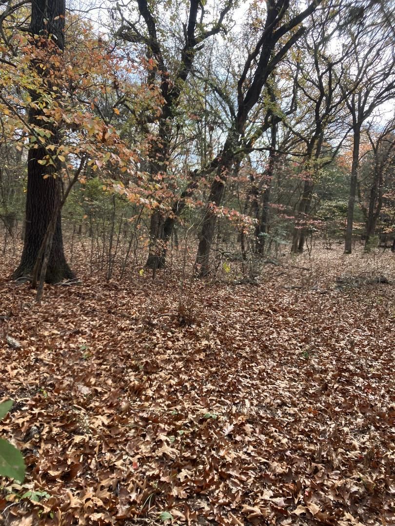 Kenefic, Atoka County, OK Farms and Ranches, Recreational Property for