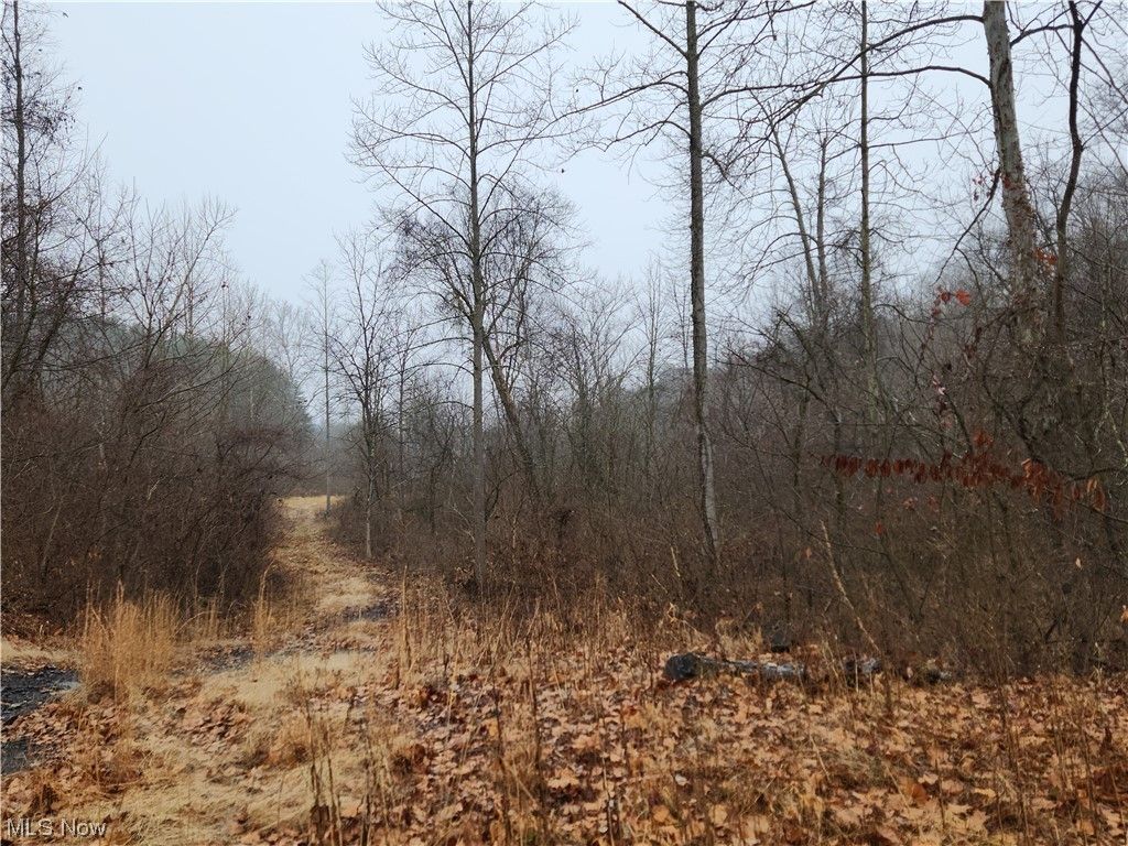 New Straitsville, Perry County, OH Undeveloped Land for sale Property