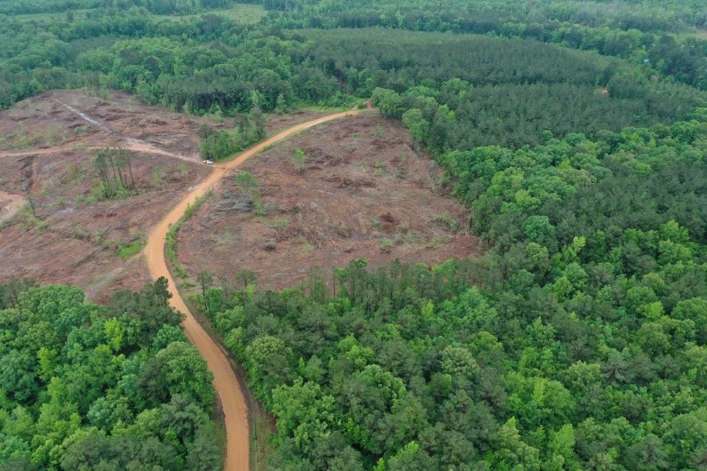 36 acres in Sparkman, AR, 71923 MLS 5038 Pigg LandWatch