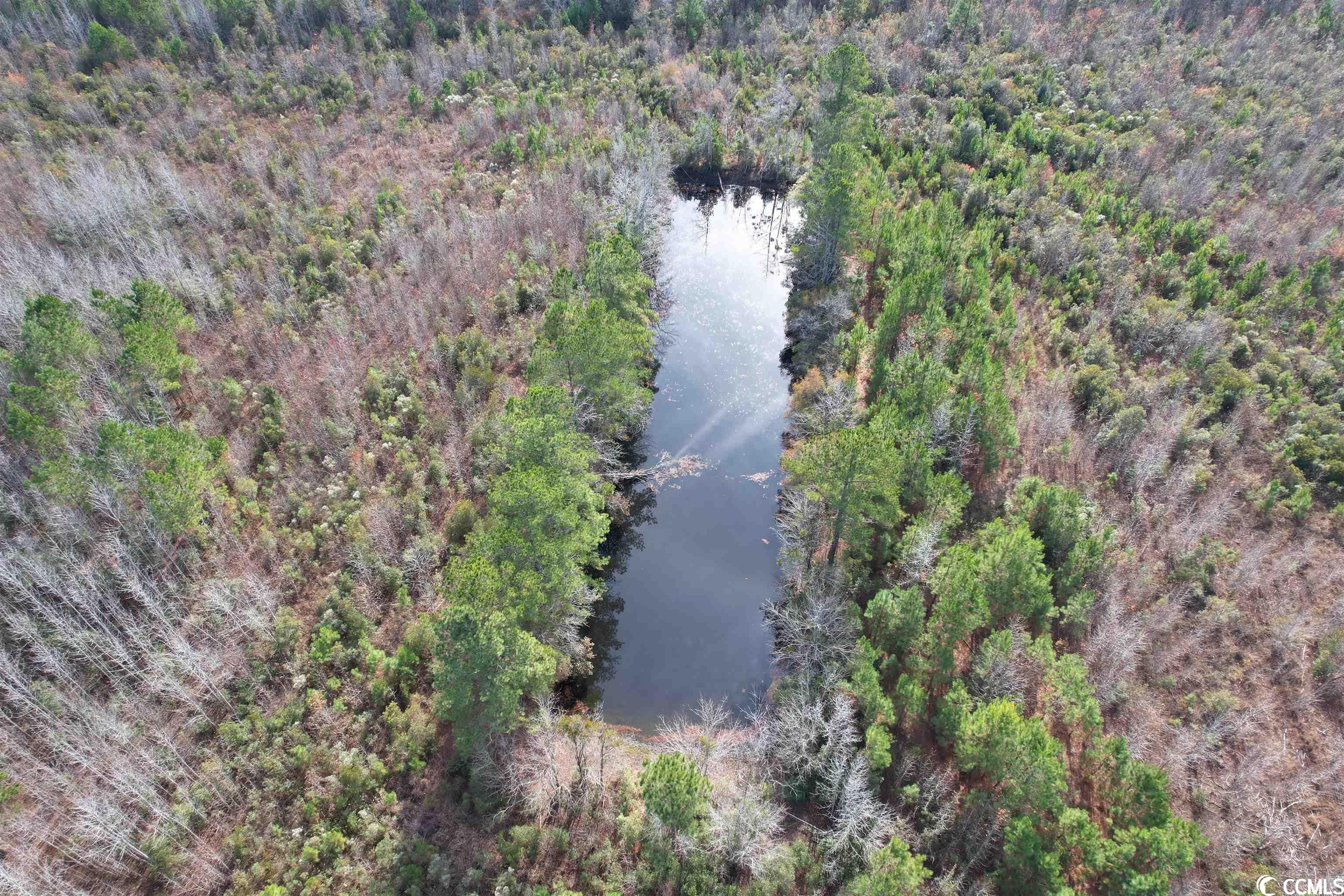 Scranton, Florence County, SC Undeveloped Land for sale Property ID