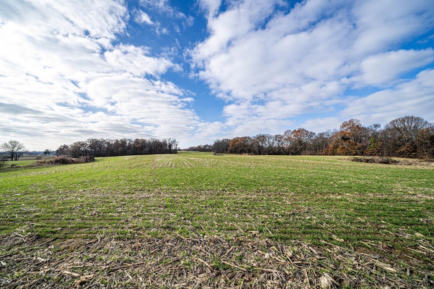 Somerville, Fayette County, TN Undeveloped Land for sale Property ID