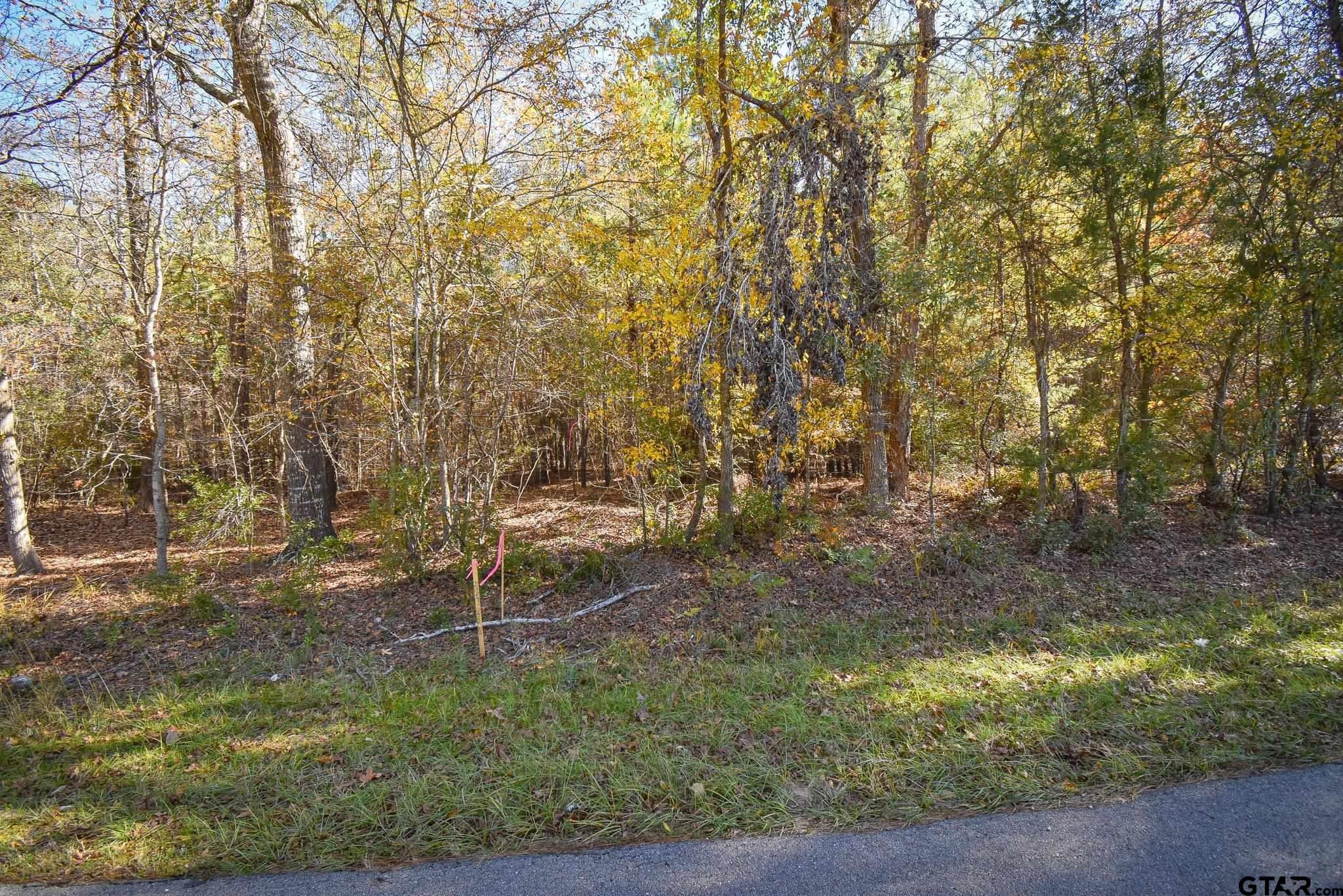 Tyler, Smith County, TX Undeveloped Land for sale Property ID