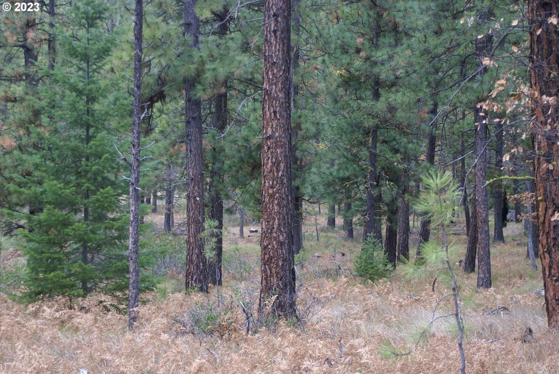 Goldendale, Klickitat County, WA Undeveloped Land for sale Property ID