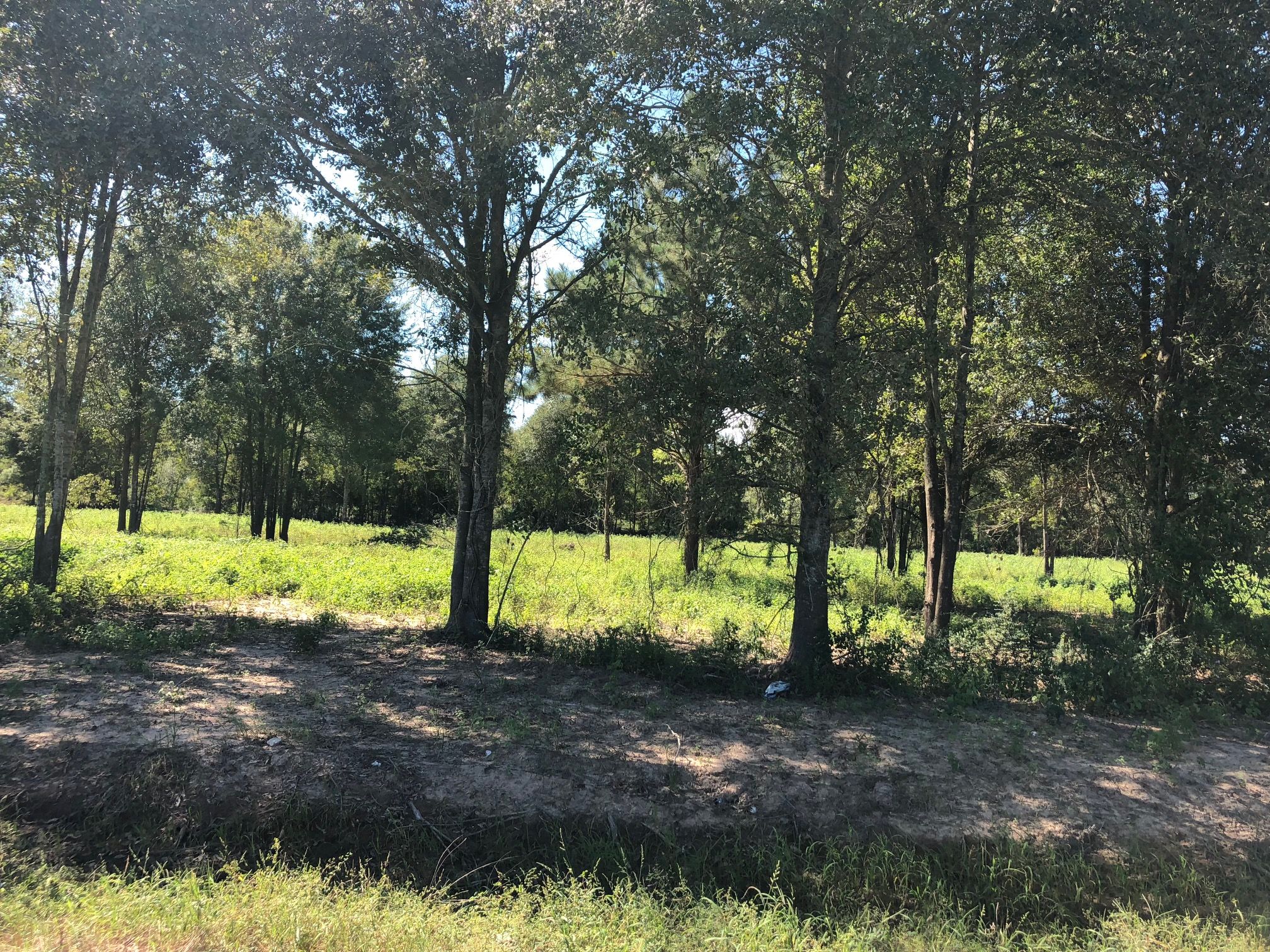 6 L'anse Meg Road, Mamou, LA 70554 MLS 18010581 LandWatch