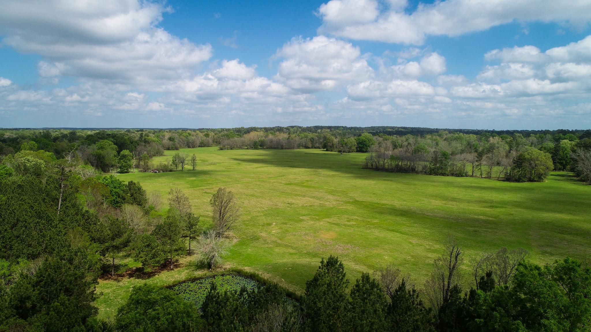 TBD FM 352, Corrigan, TX 75939 MLS Beautiful Pastureland And