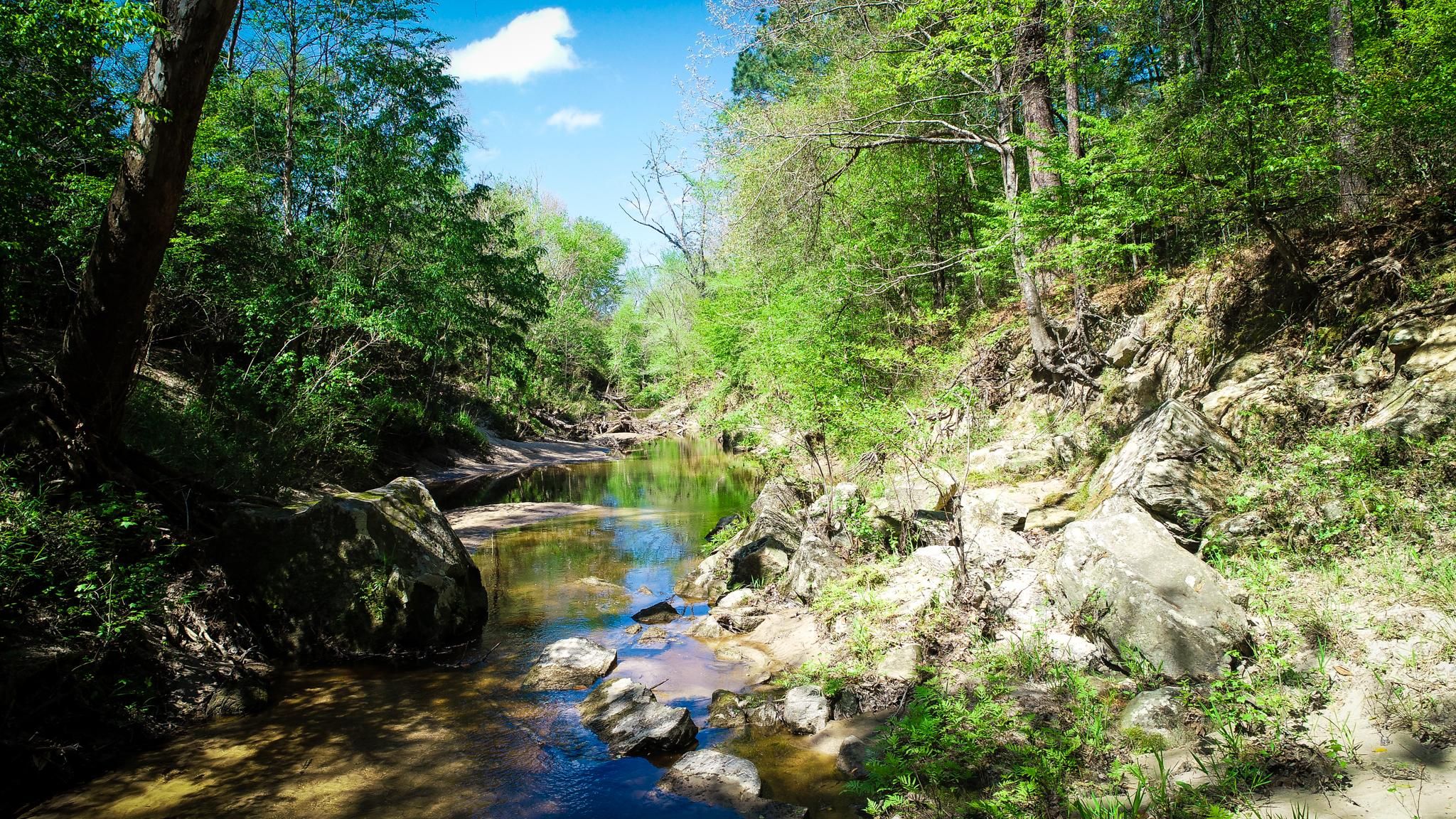 TBD FM 352, Corrigan, TX 77939 MLS Beautiful Acreage With Majestic