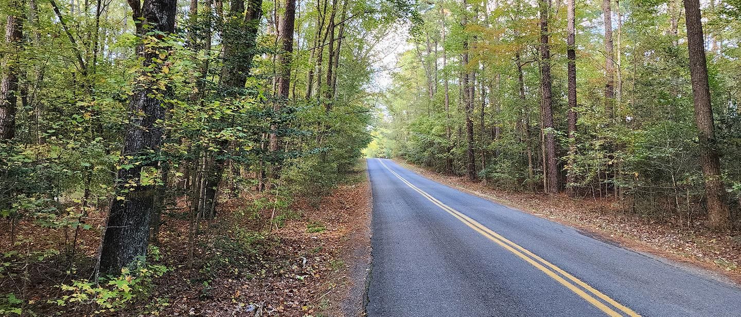 Charles City, Charles City County, VA Recreational Property, Timberland Property, Hunting