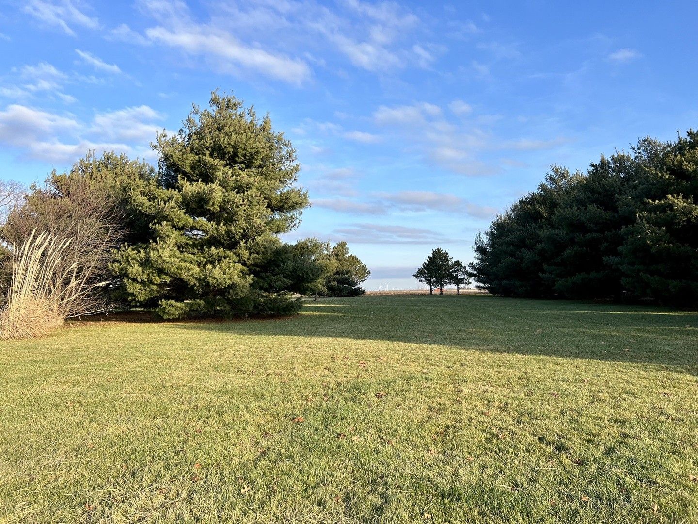 Farmer City, Piatt County, IL Undeveloped Land, Homesites for sale