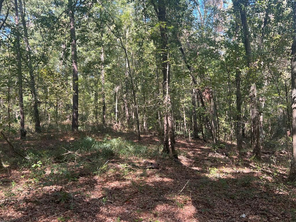 TBD Brenda Lane, Pelham, GA 31779 LandWatch