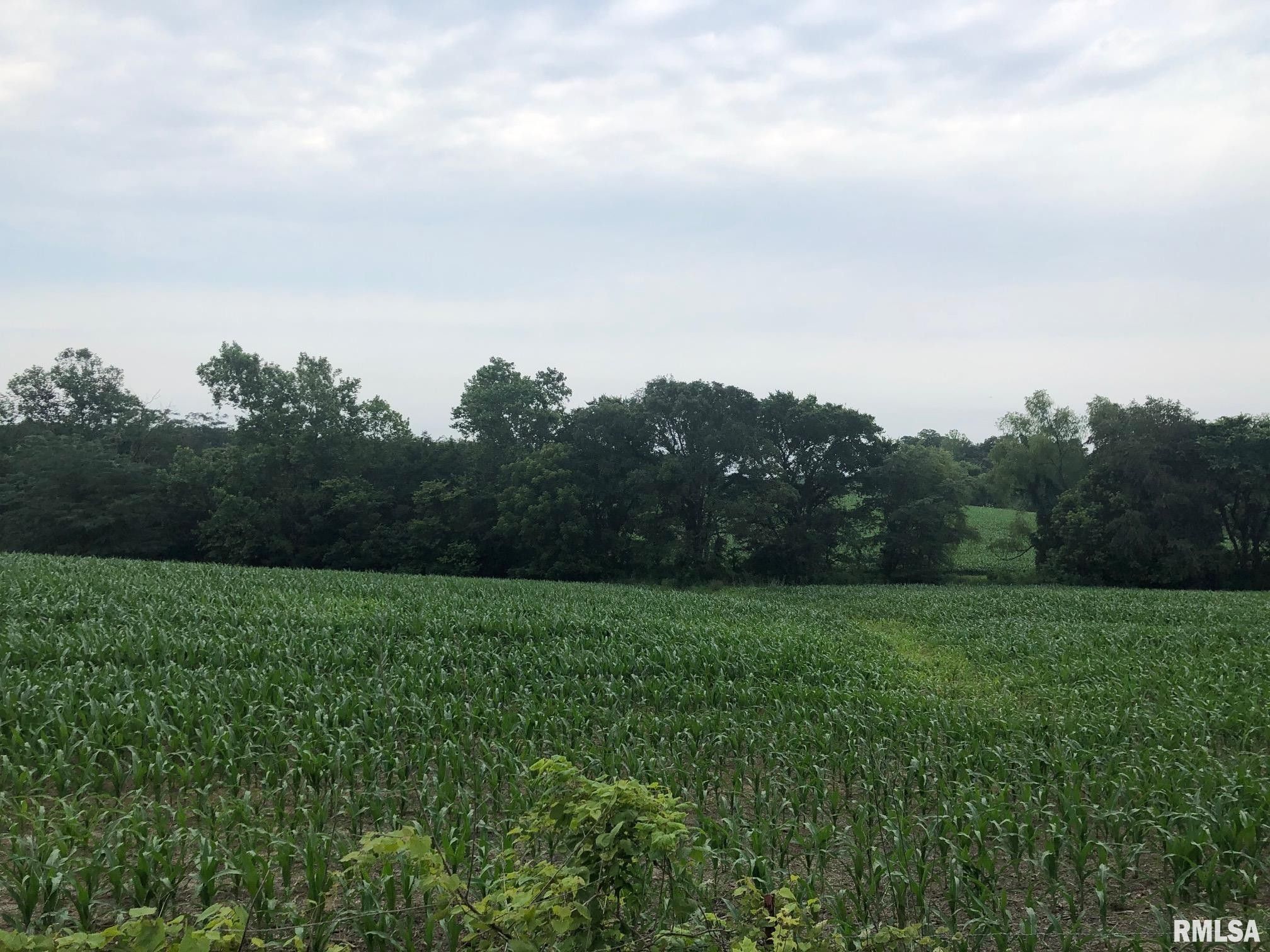 Creal Springs, Williamson County, IL Undeveloped Land for sale Property