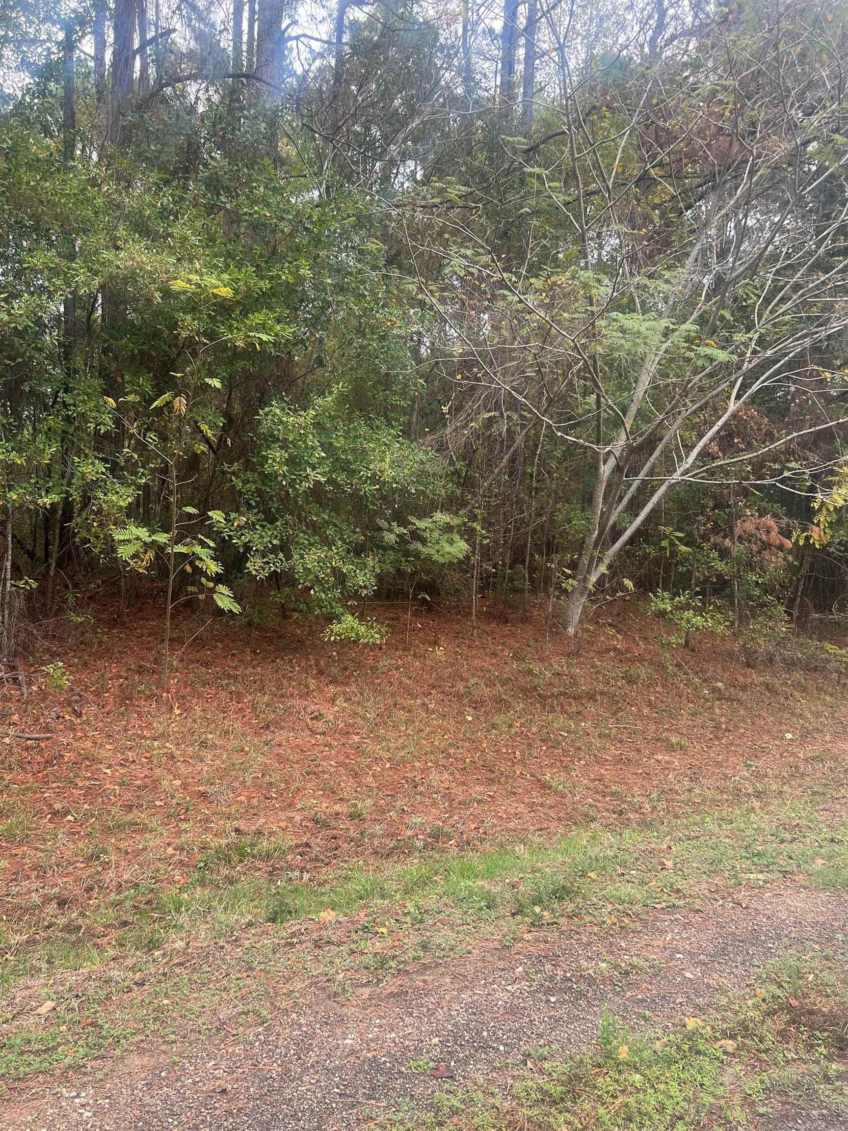 Burkeville, Newton County, TX Undeveloped Land, Homesites for sale Property ID 418461387
