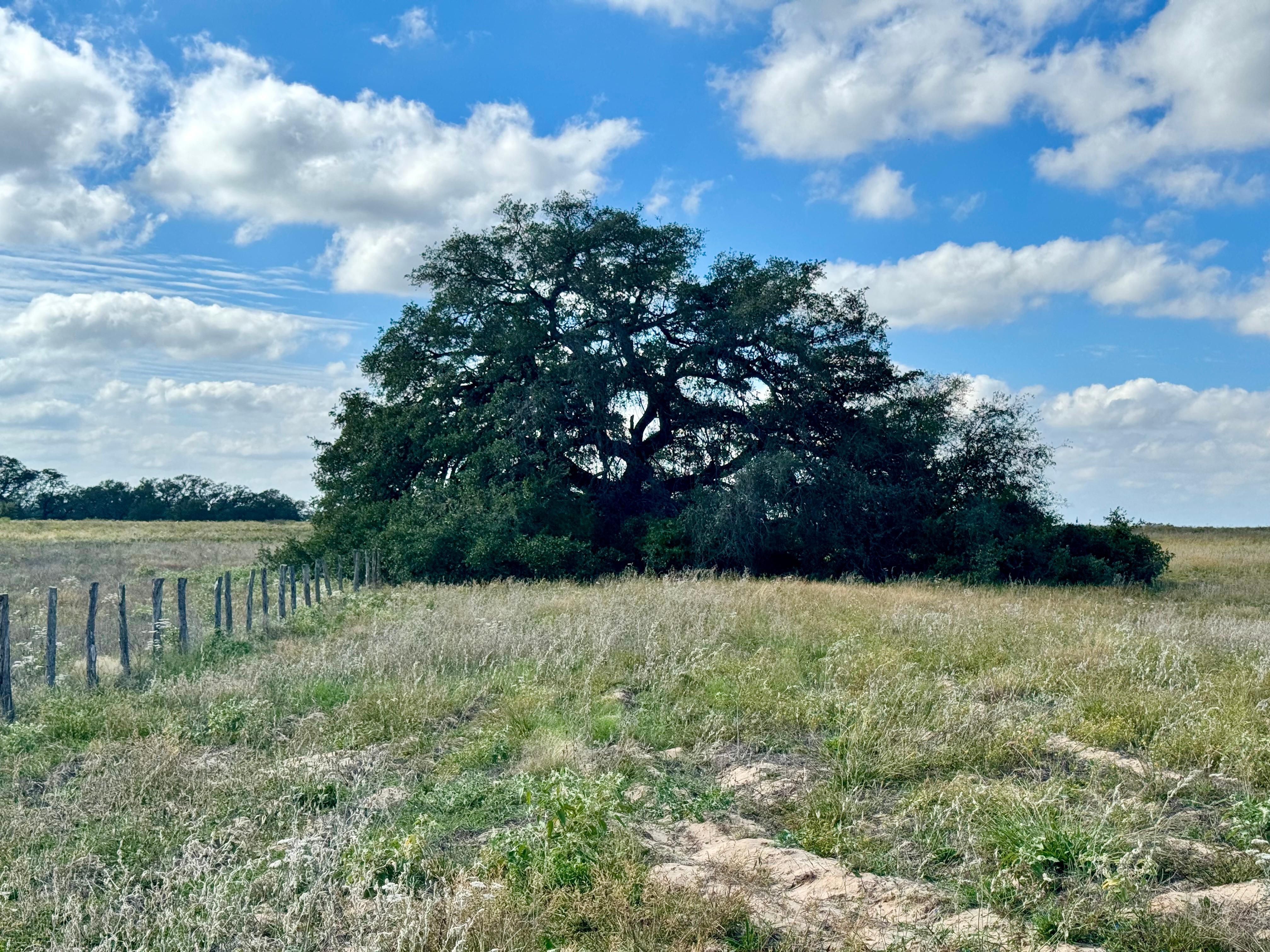 Von Ormy, Atascosa County, TX Recreational Property, Horse Property
