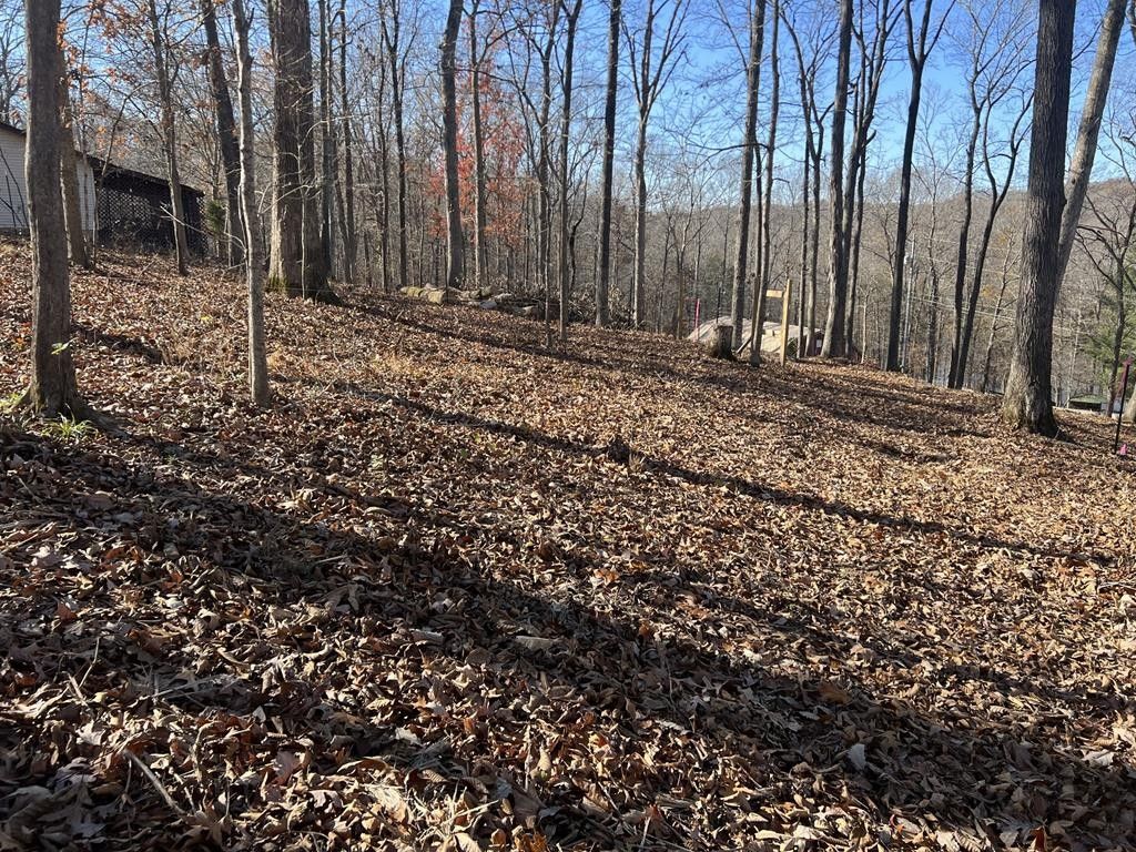 Dover, Stewart County, TN Homesites for sale Property ID 418462150