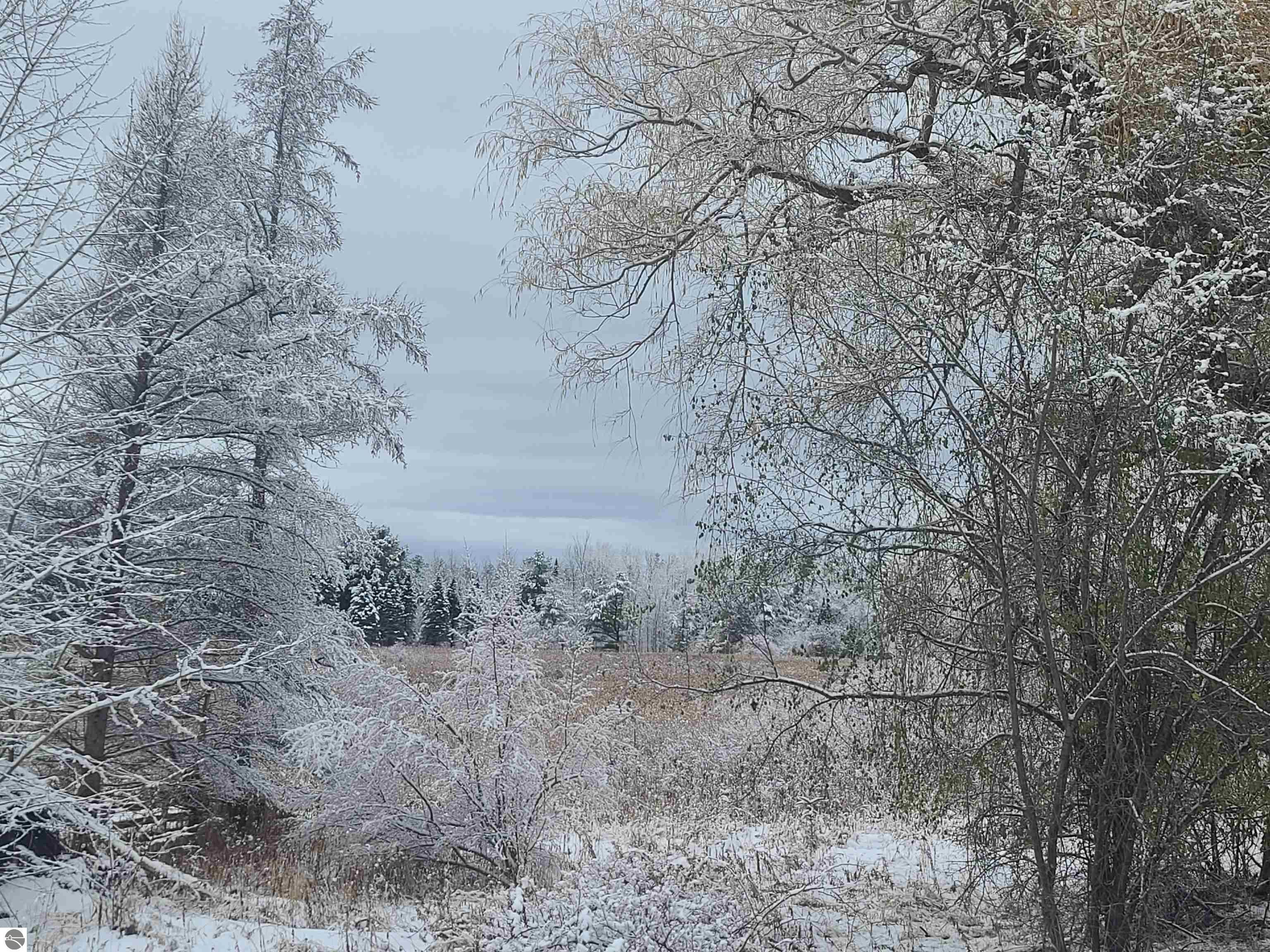 Williamsburg, Grand Traverse County, MI Undeveloped Land for sale