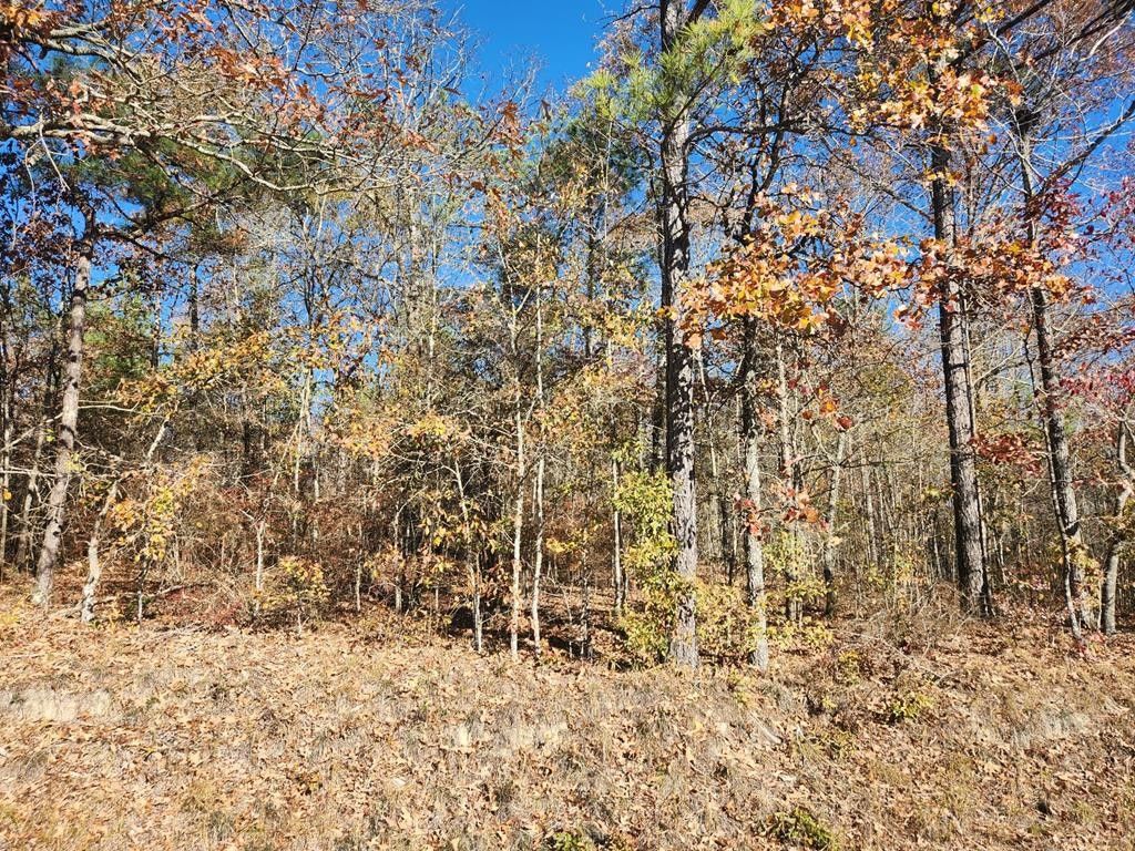 Fortson, Harris County, GA Undeveloped Land for sale Property ID 418464124 LandWatch