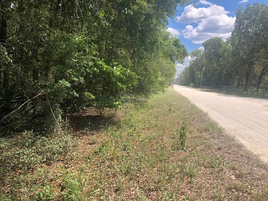 Old Town, Dixie County, FL Undeveloped Land for sale Property ID